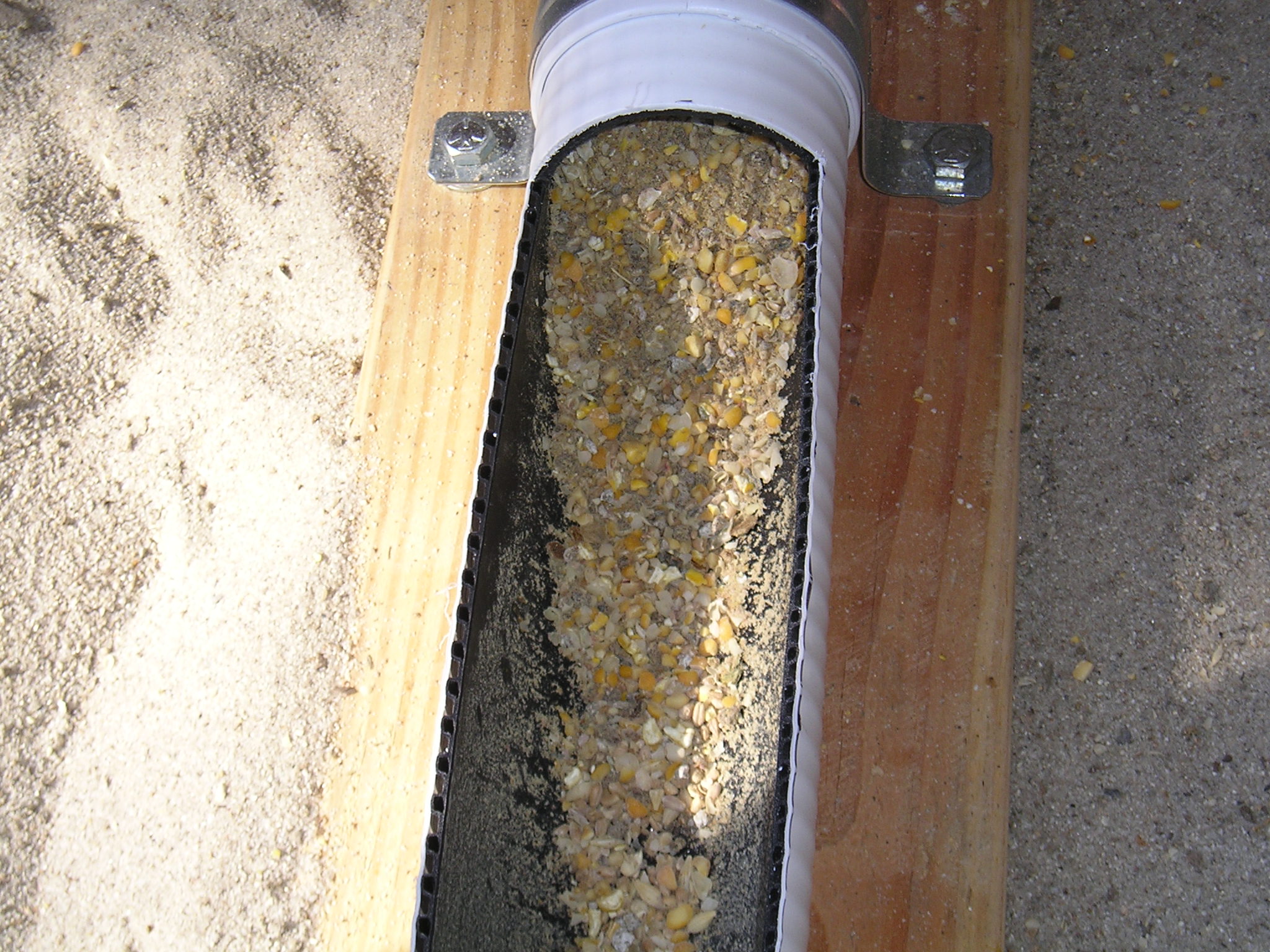 Feed flow using mash. Switched to pellets, too much waste with the mash.