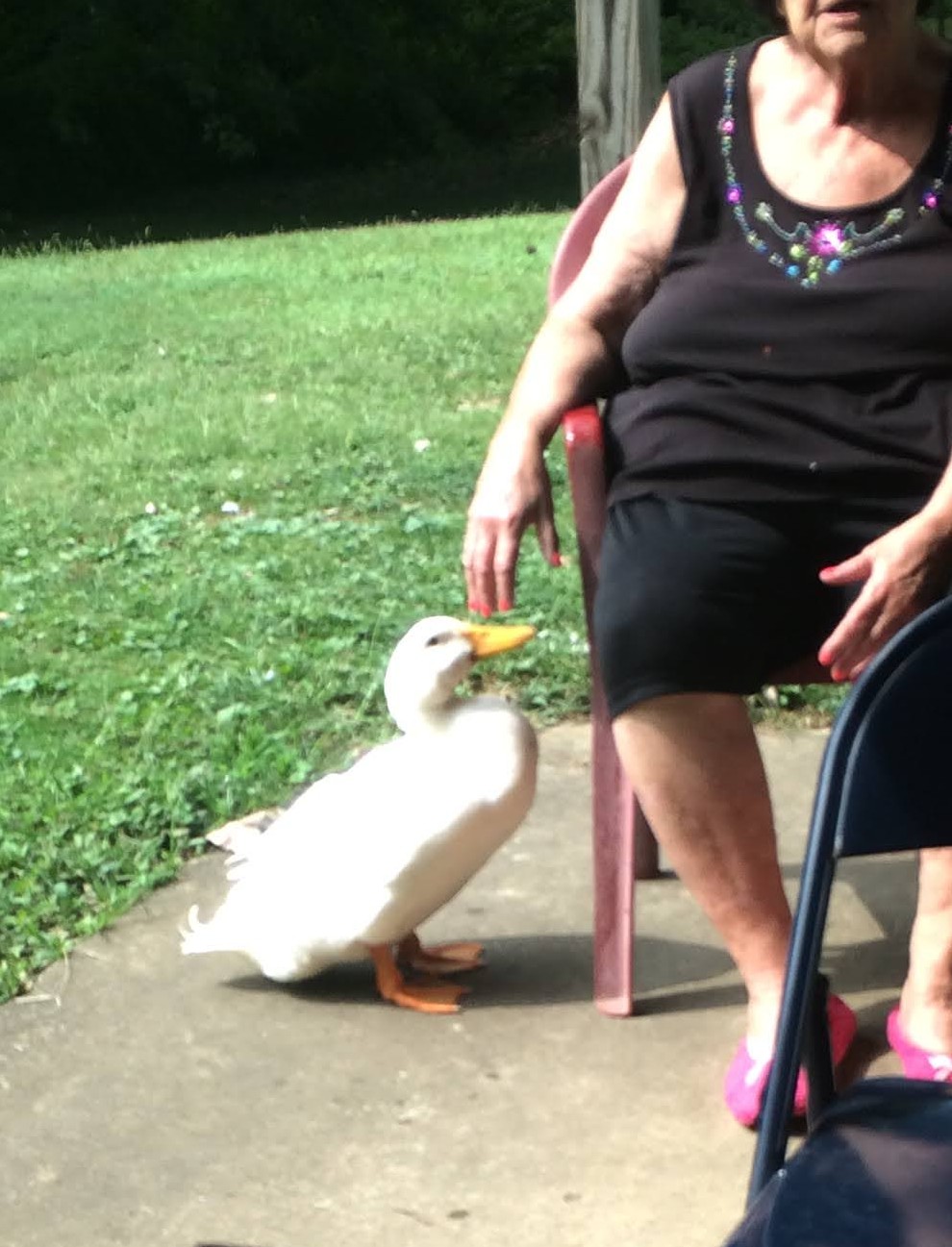 Feed Me Grandma By The River! Peas!