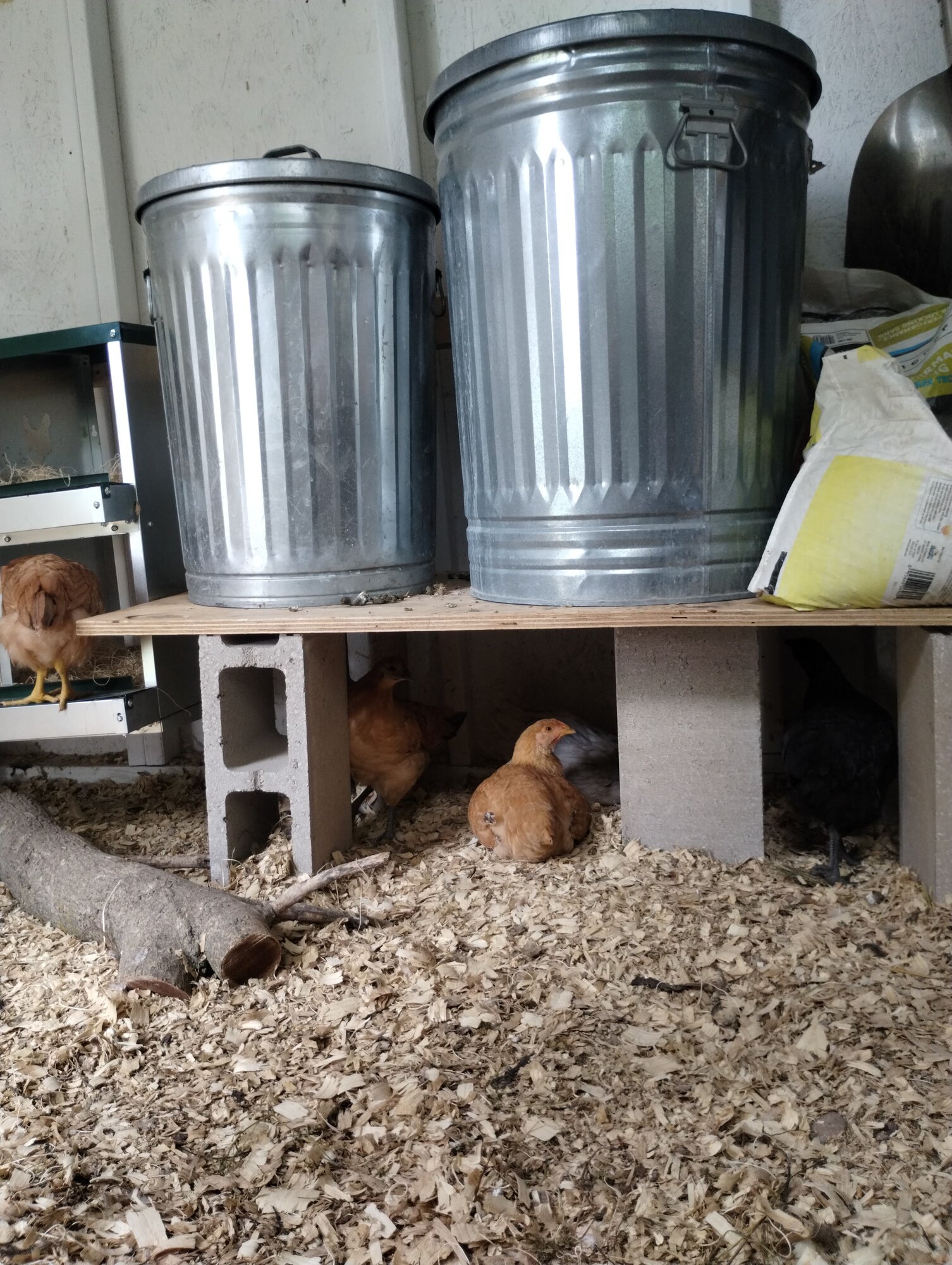 Feed platform, nesting/hiding spot