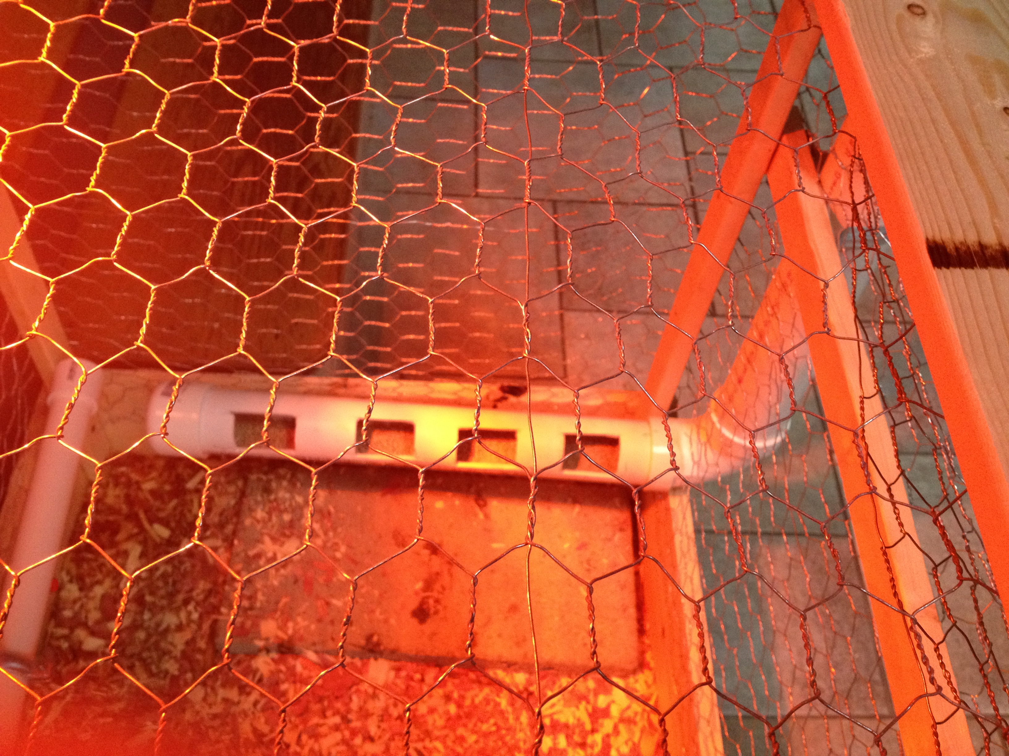 feed system