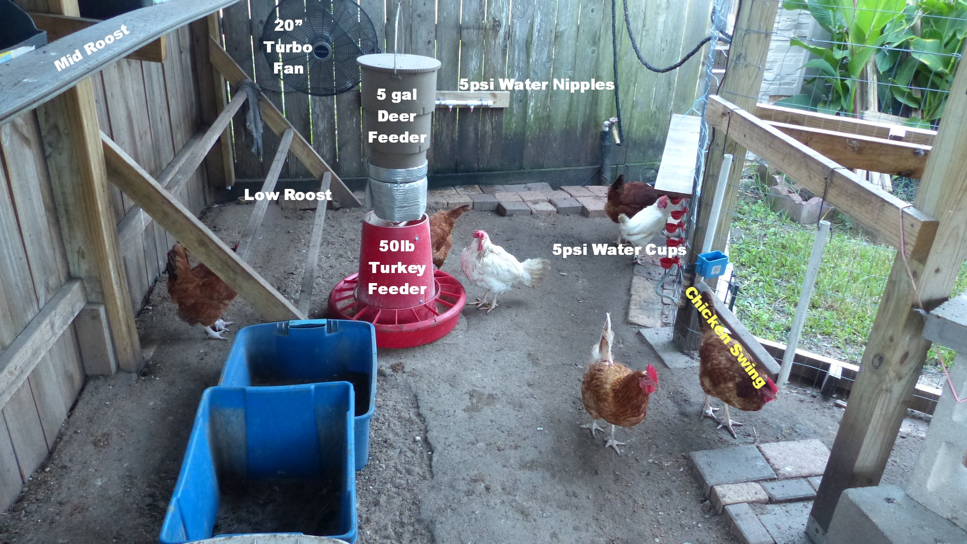 Feed & Water Detail.  2 different water systems.  On fence, 5psi Nipple type.  On right side, auto-fill cup type from China.  The girls like the cups the best, however, they tend to need cleaning on a daily bases since their little beaks are always dirty.  I adapted everything to low cost drip feeder tubing for the 5psi waterers...4 zones, 2 nipple zones, 2 cup zones.  Crumble Deer Feeder is programmed for 7am, 8 secs and 4pm, 6 secs. App. 4lbs / day.   Deer Feeders run on 4 AA Batteries that last about 1 year.  The Crumbles drop straight down from the deer feeder into the 50lb turkey feeder.  The eating area on the turkey feeder is around 4" deep,  They have to stick their little heads way down to get the food thus eliminating all messy eating with absolutely no waste. This is the cure for food waste.  BTW, chickens don't really like to swing.  You've probably seen the ads for the chicken swing, don't bother.  50lb Turkey Feeder - http://www.strombergschickens.com/product/hanging-poultry-feeder-50-pound-capacity/hanging-feeders