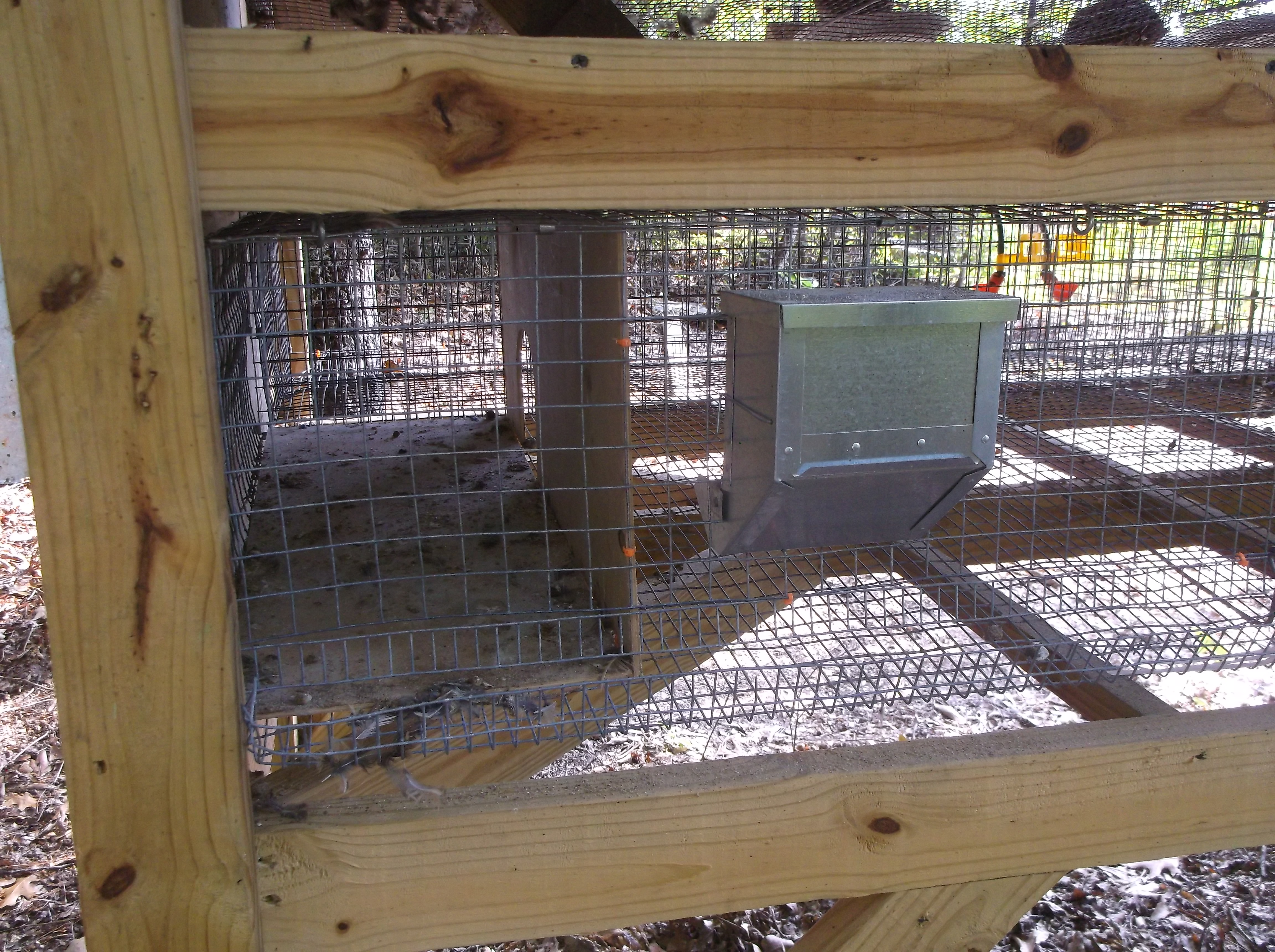 Feeder and hidey-hole