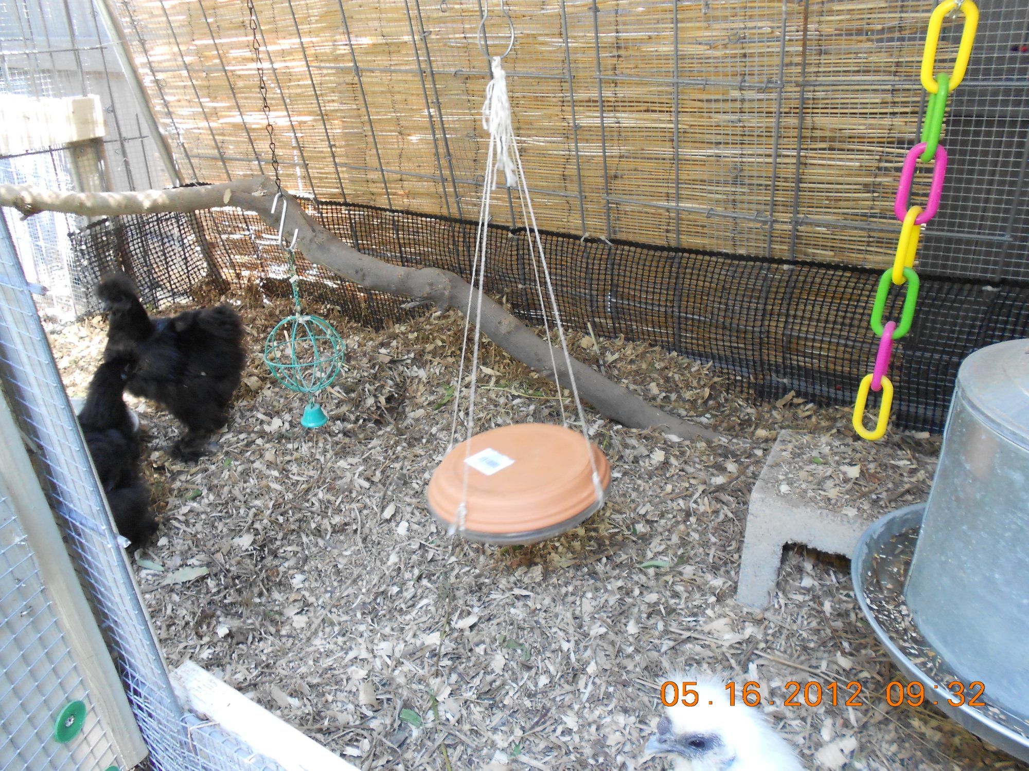 feeder covered with clay flower pot saucer at nigh to discourage vermin. DSCN0201.JPG