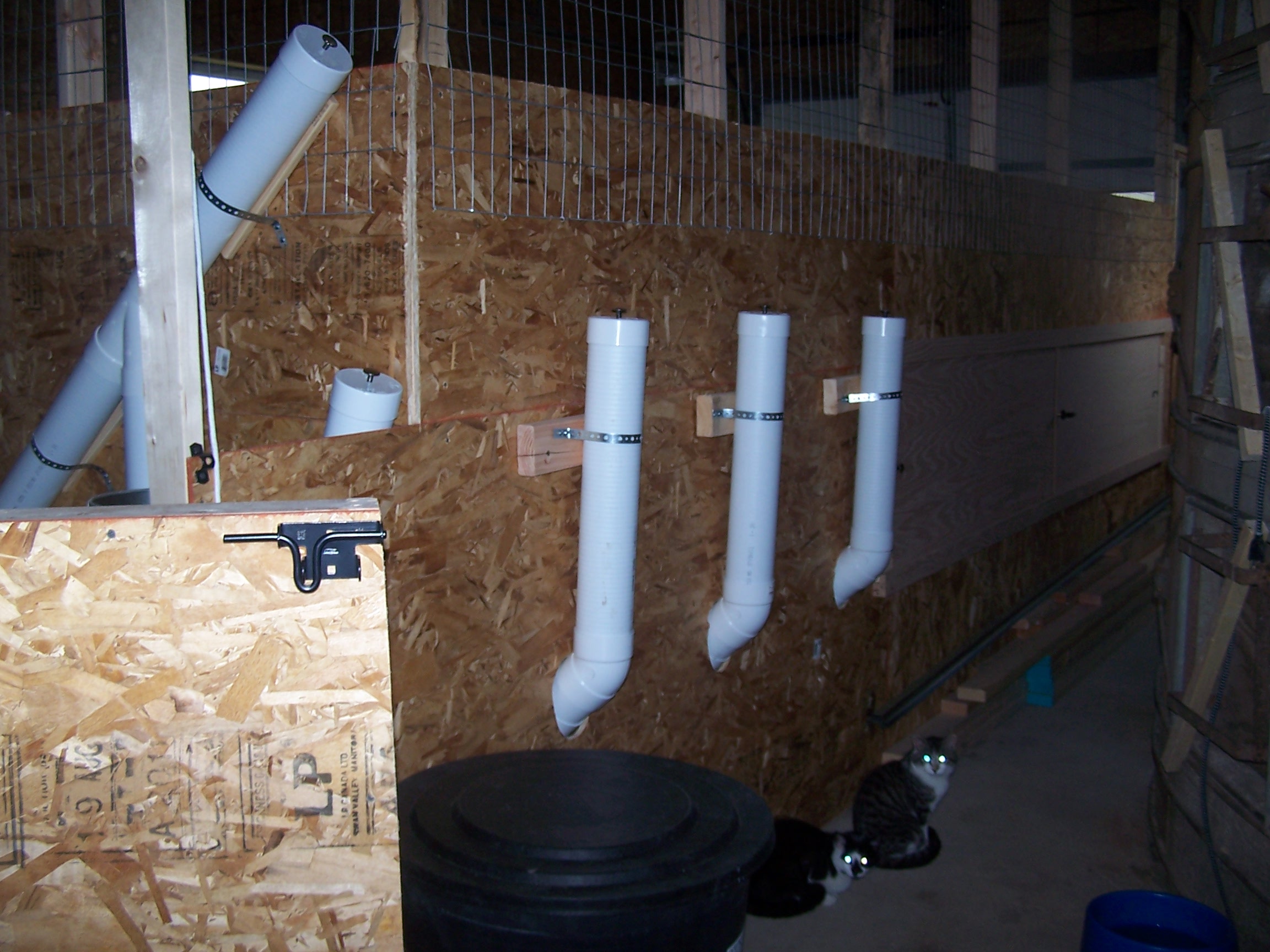 Feeding tubes