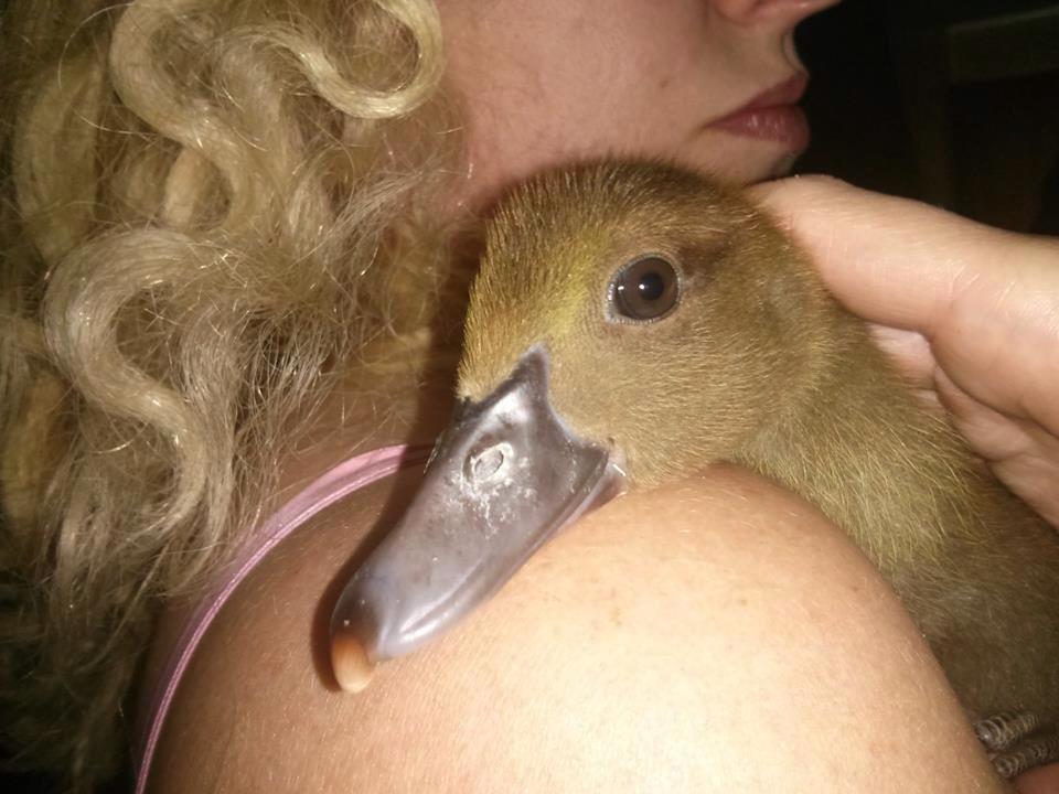 Felix at three weeks old