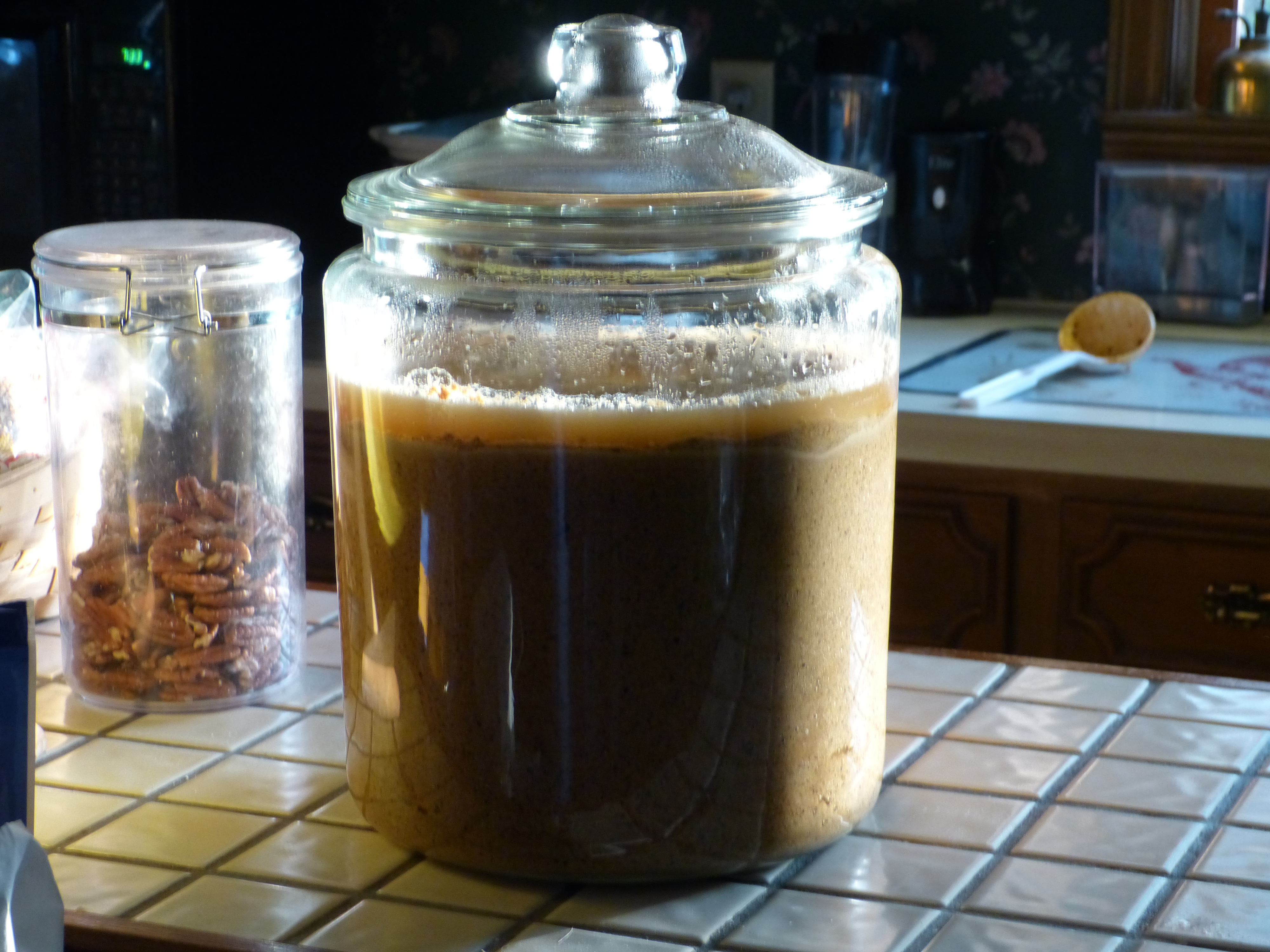 fermented feed - so far the ducks seem to like it more than the chickens do