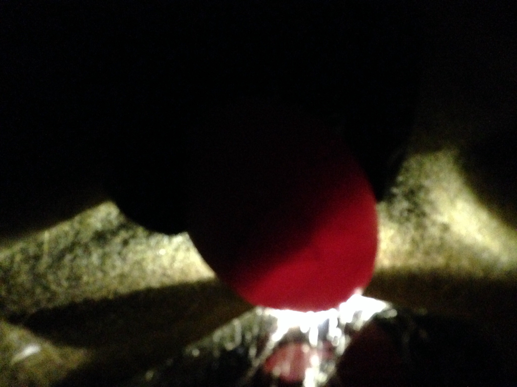 Fertile from our flock brown egg layer