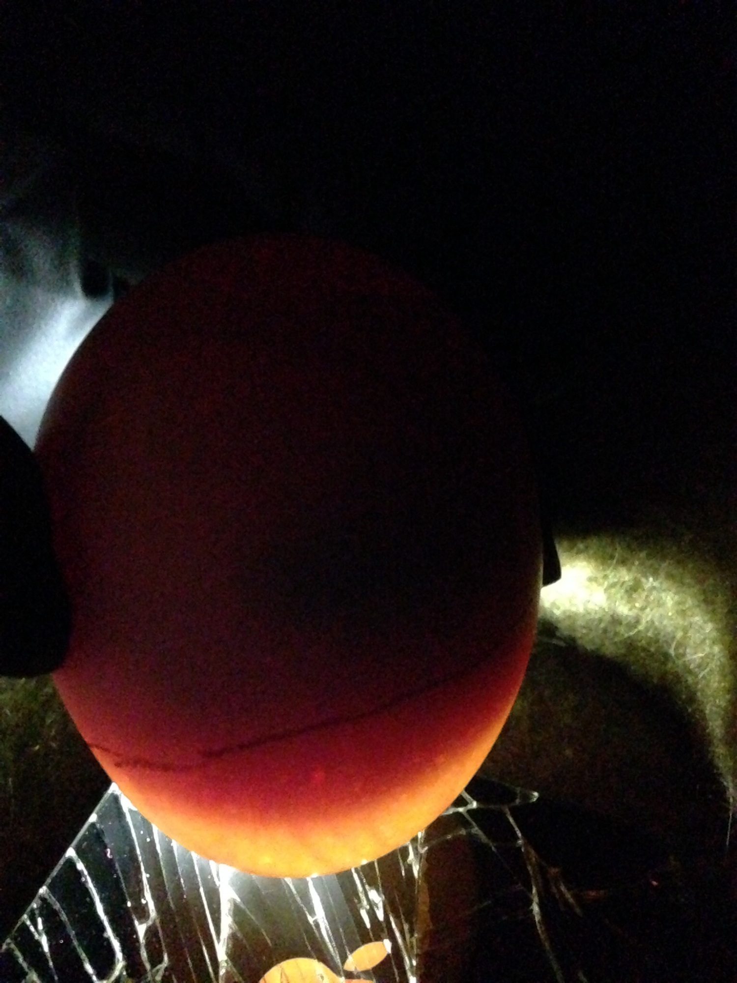 Fertile from our flock