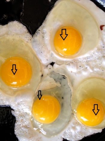 Fertilized eggs from our flock, good job boys!