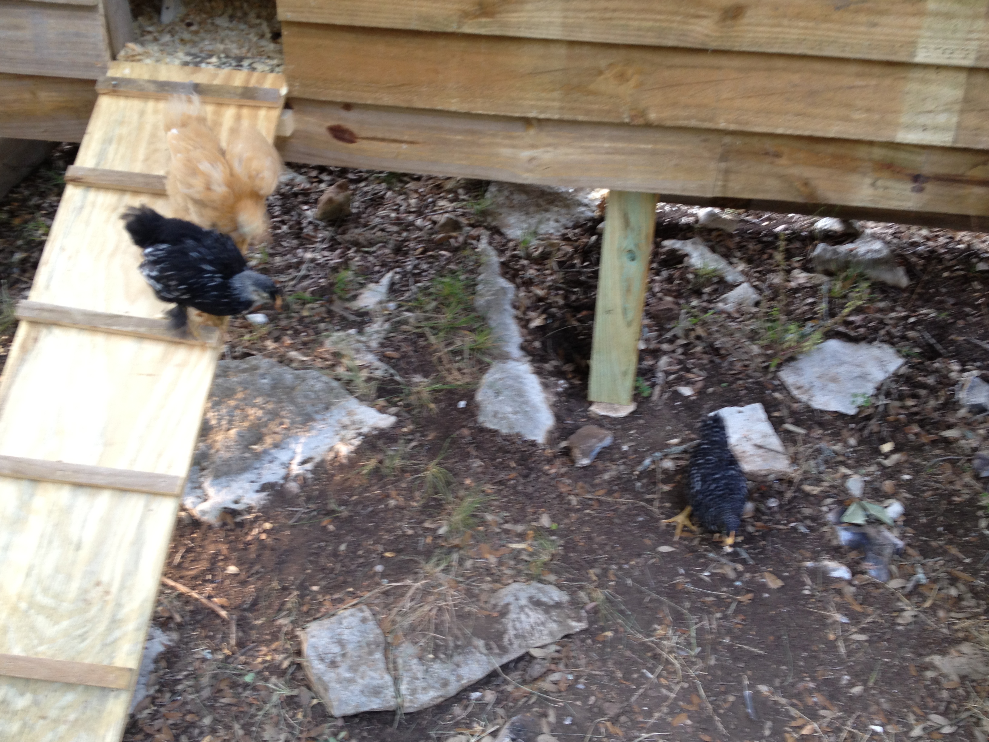 Figuring out how to get down...