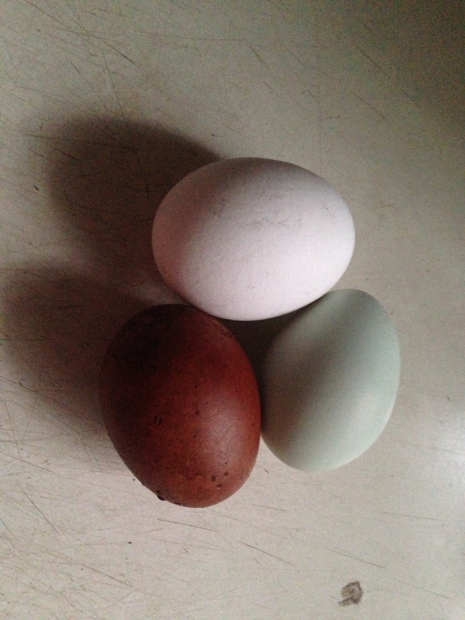 Finally, a dark brown egg!