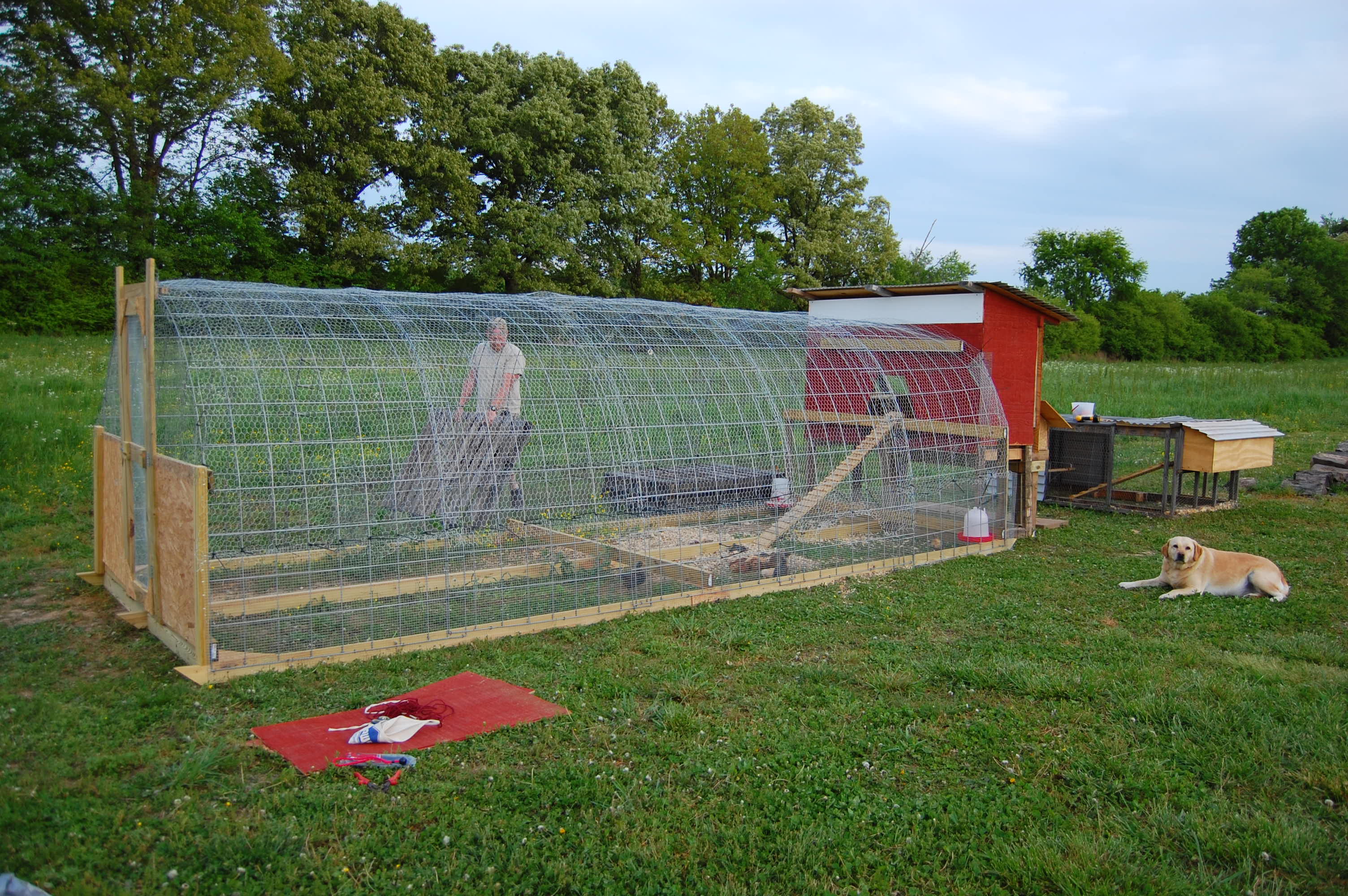 Finally! A run to hold 17 chickens......for now. You can see the tractor I built behind the big shebang!