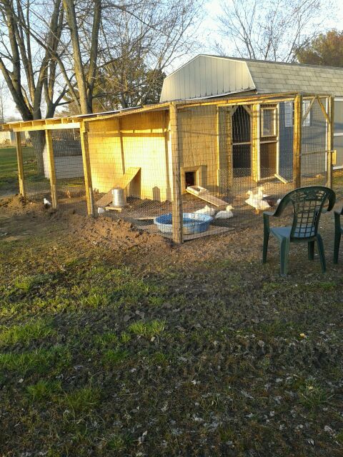 Finally all done !  What a great job .  They will love their new coop.