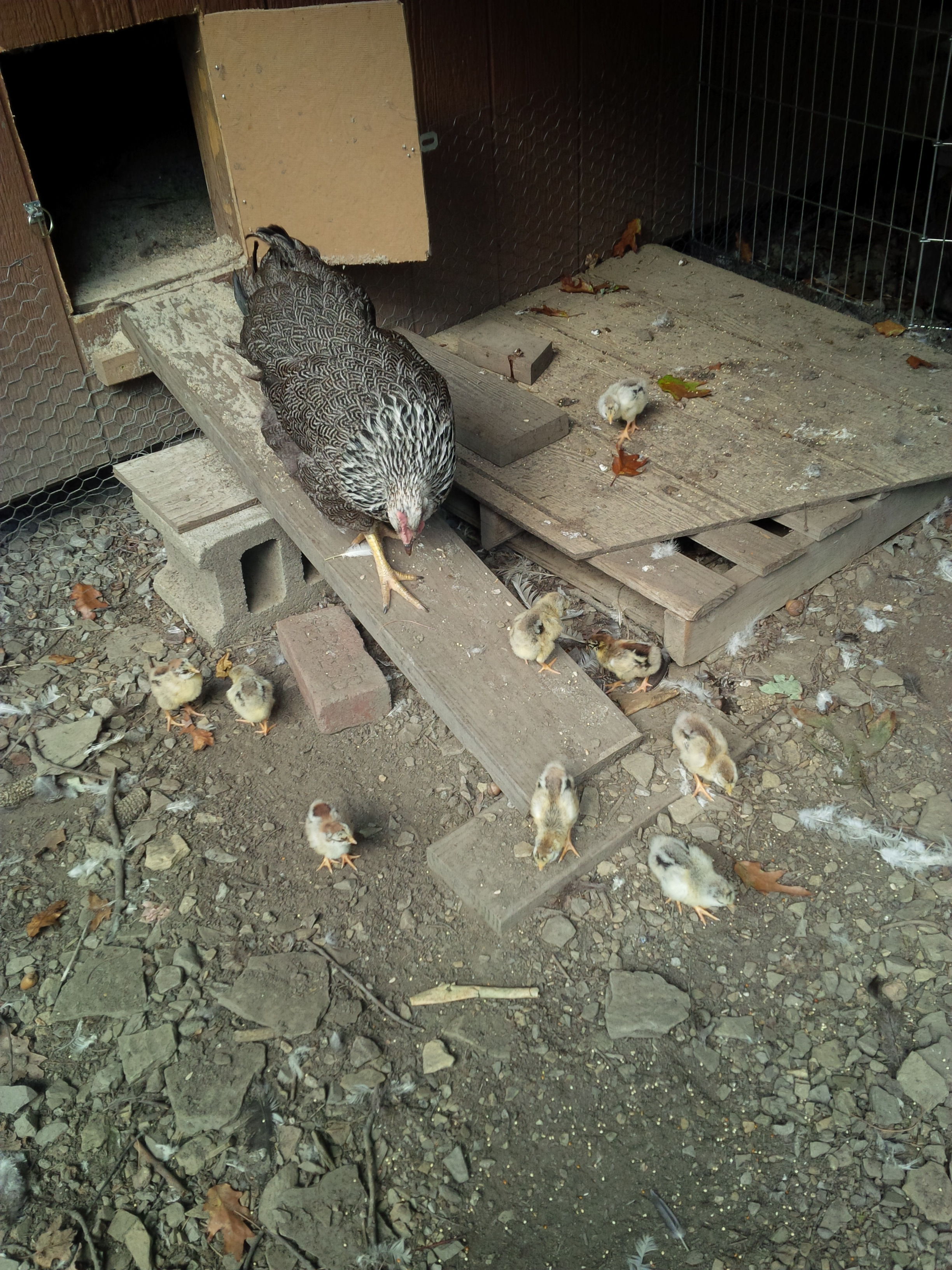 Finally all outside!