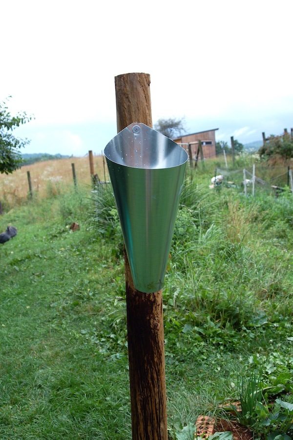 Finally bought this very nice and shiny killing cone; it is a necessity for killing Cornish X, who can't be hung by their feet as their legs are so fragile.