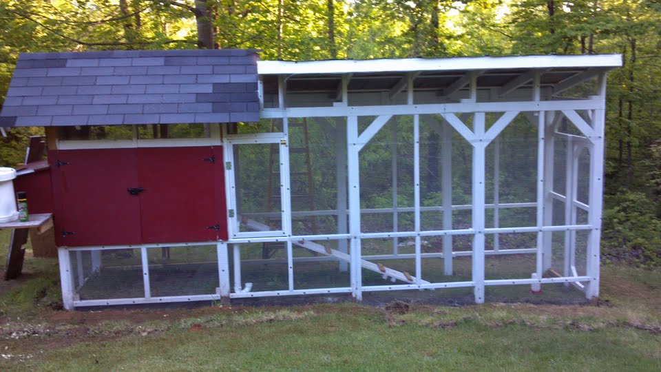 Finally done with the coop...