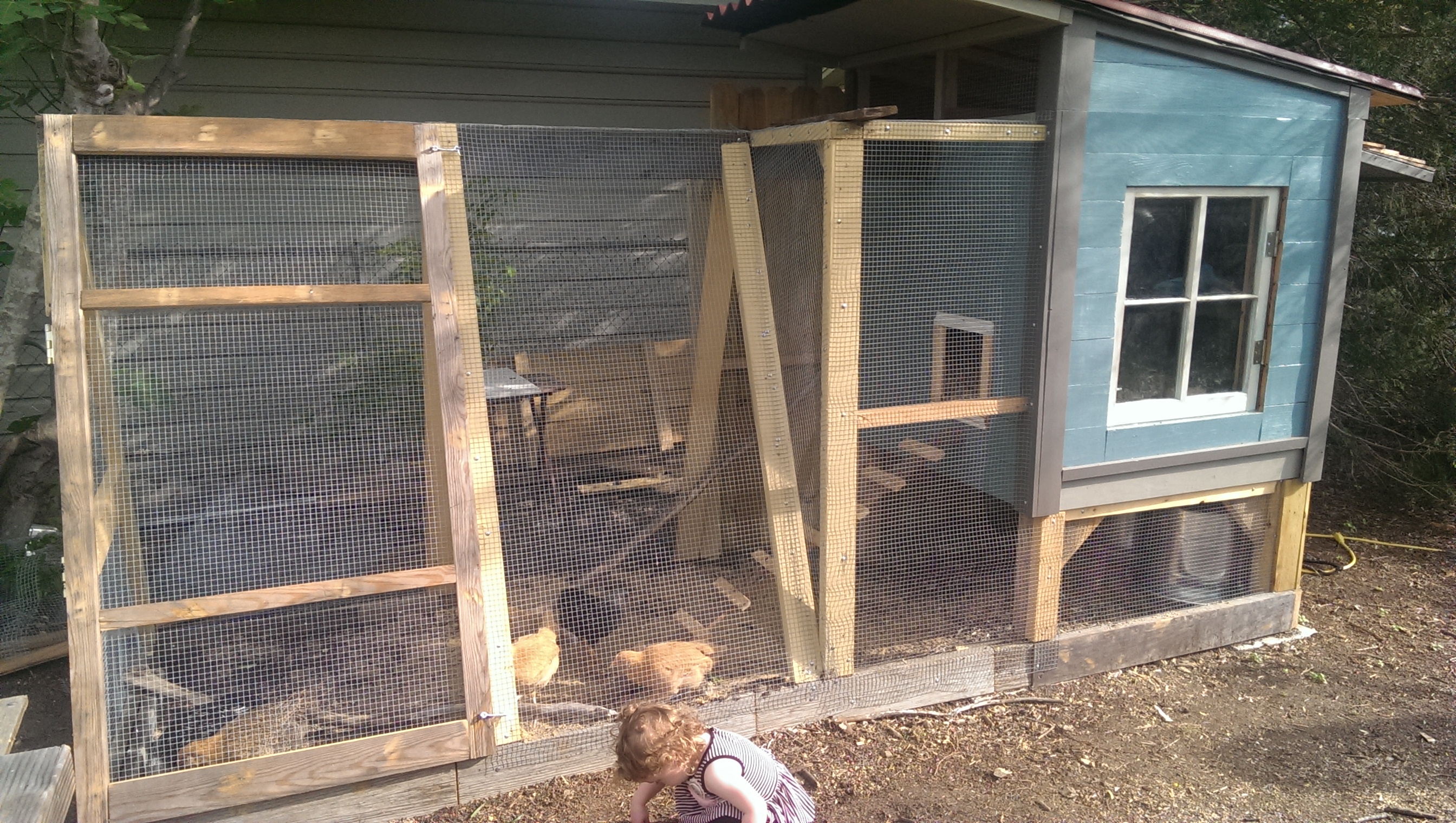 Finally enclosed the chicken run.