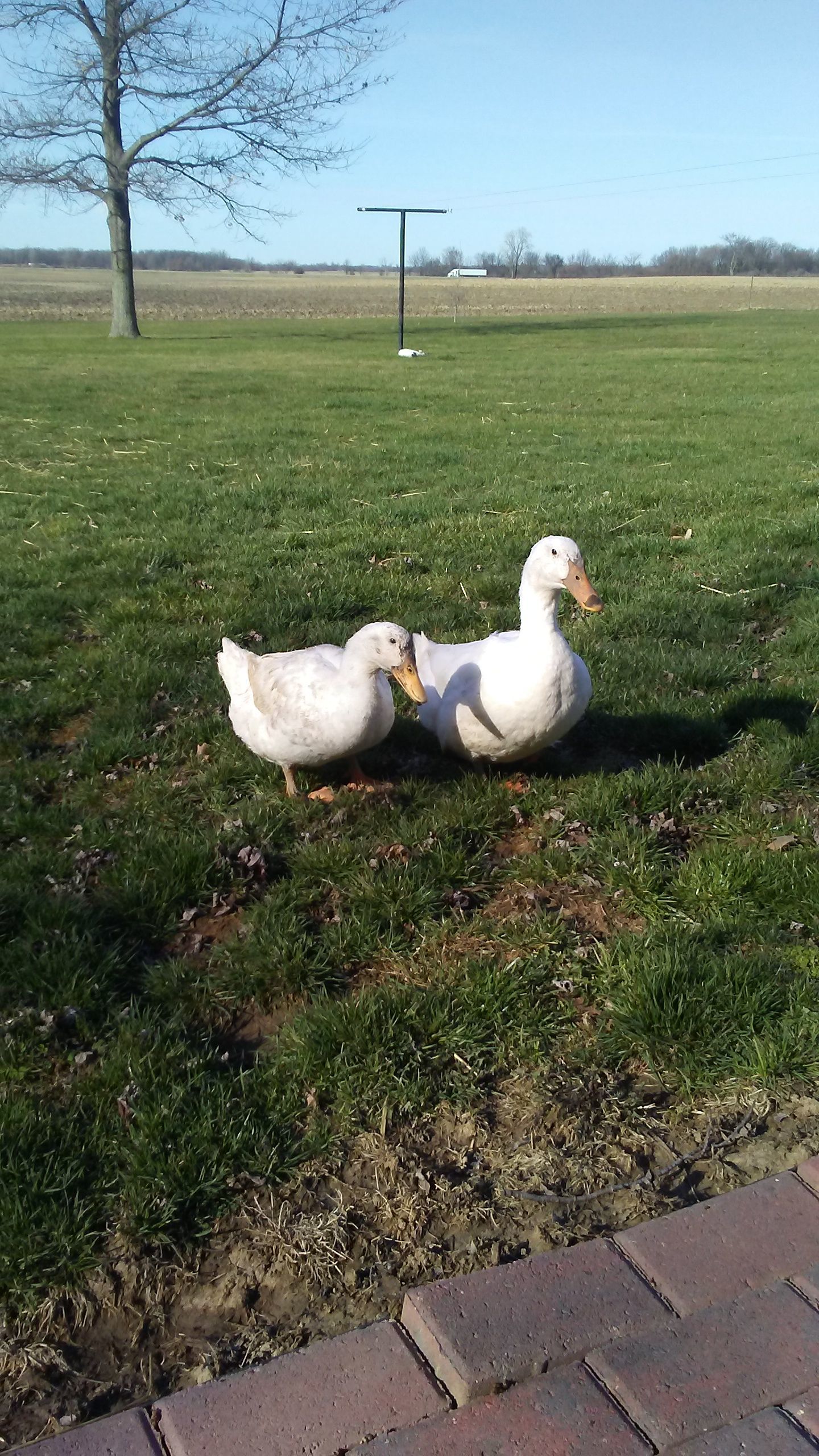 Finally enjoying some nice weather