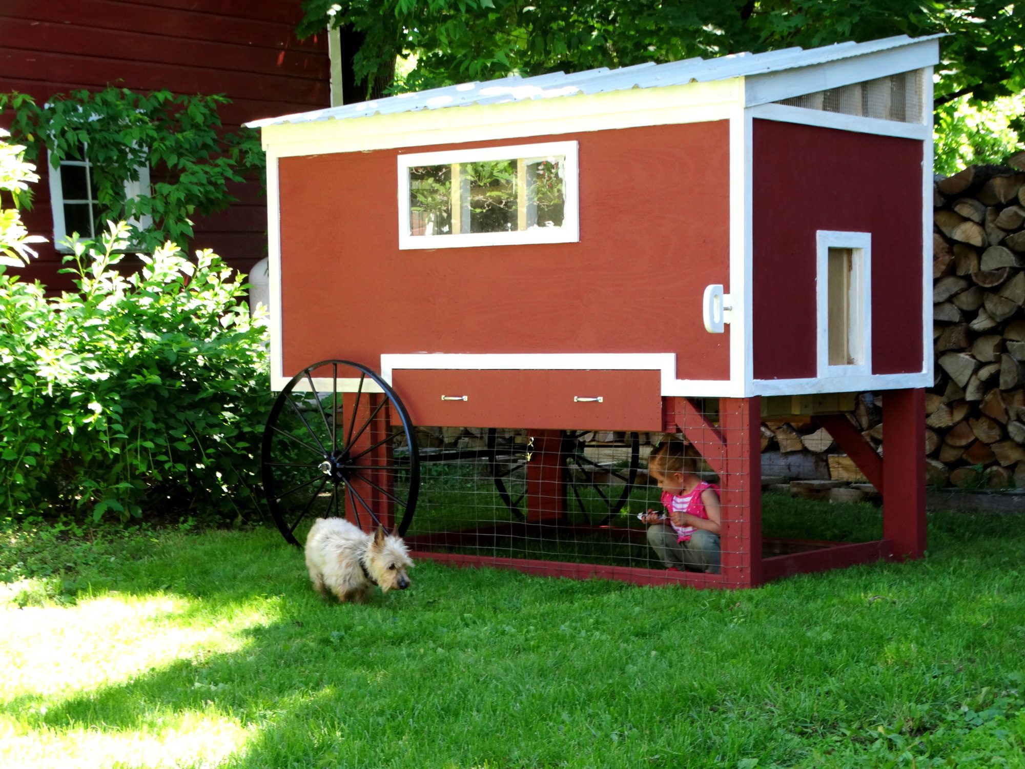 Finally finished the Coop!