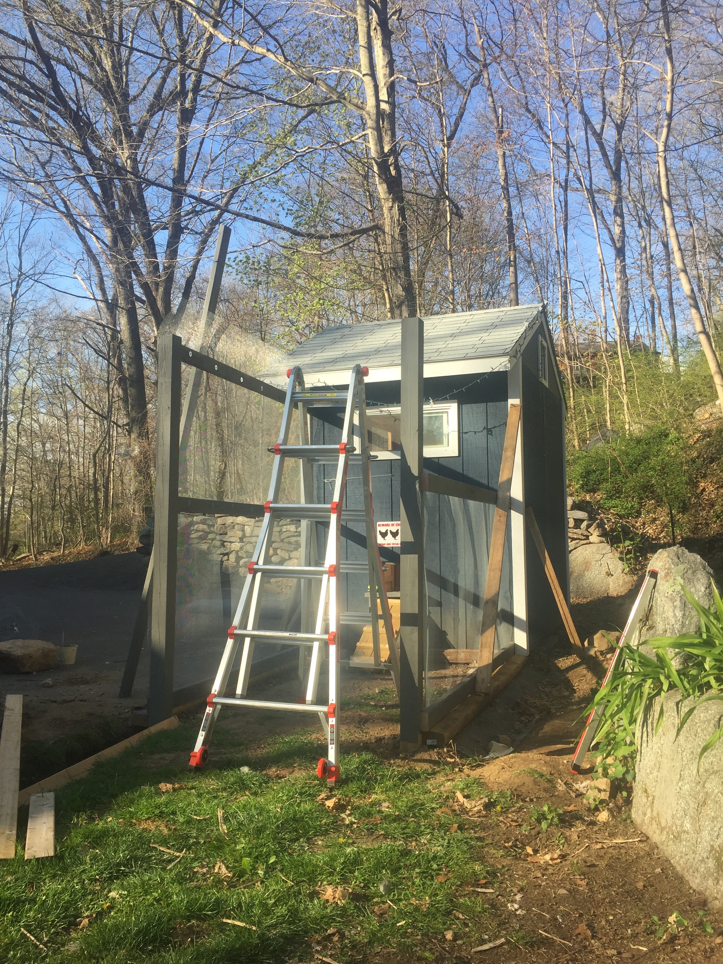 Finally getting the walls up.