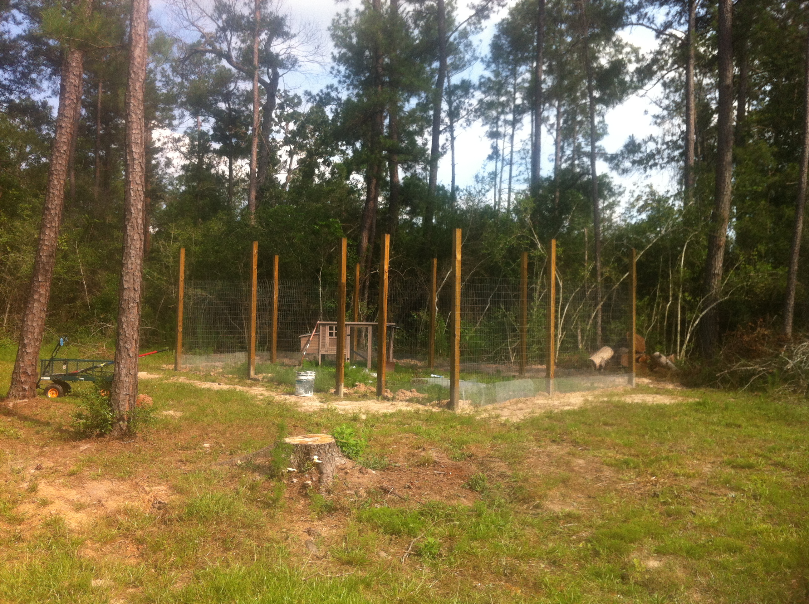 Finally I got the hardware cloth a foot down and burried around the proposed fence line.