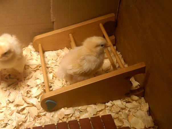 finally! she figured it out..