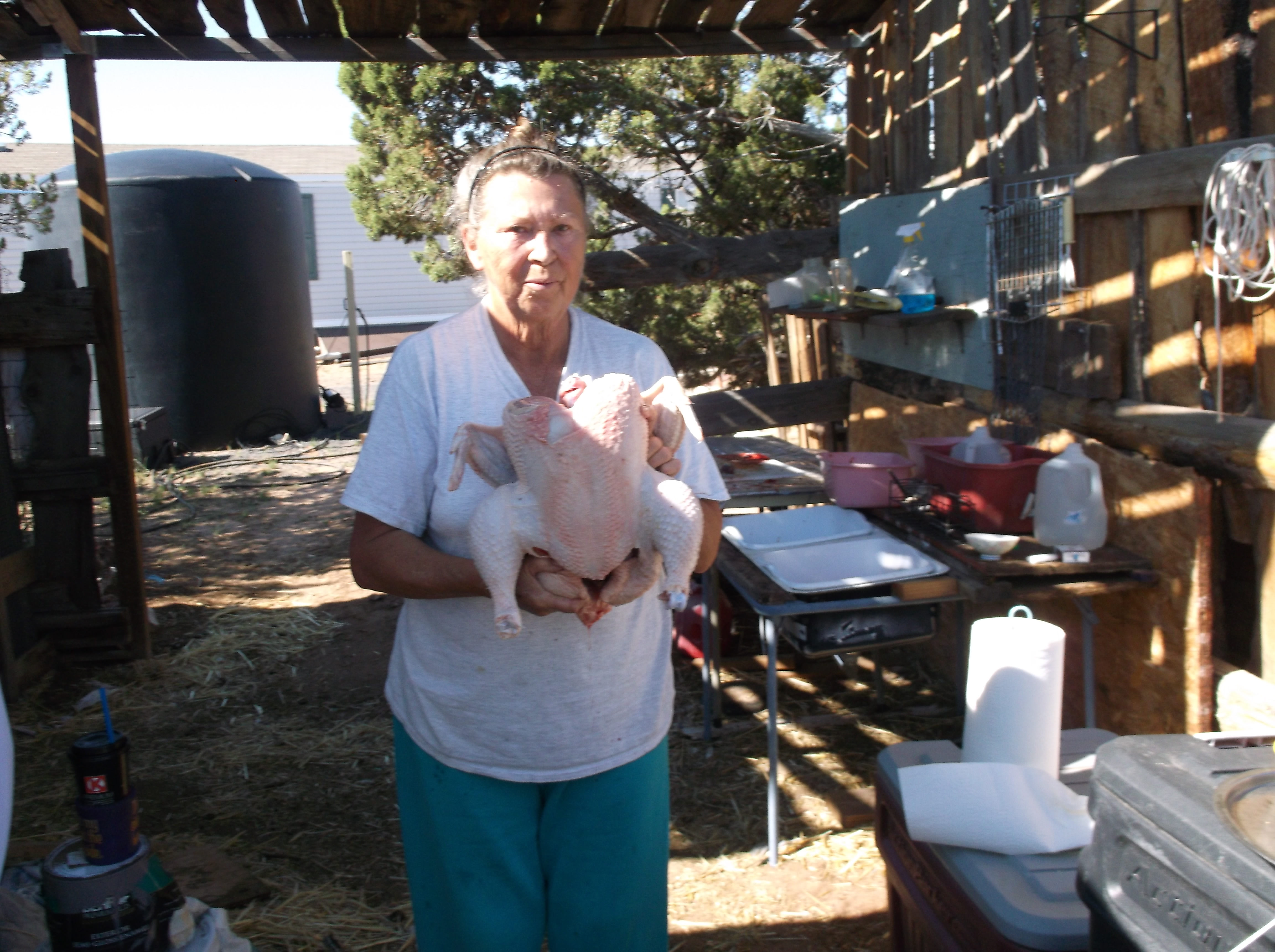 finished 12 pound bird.