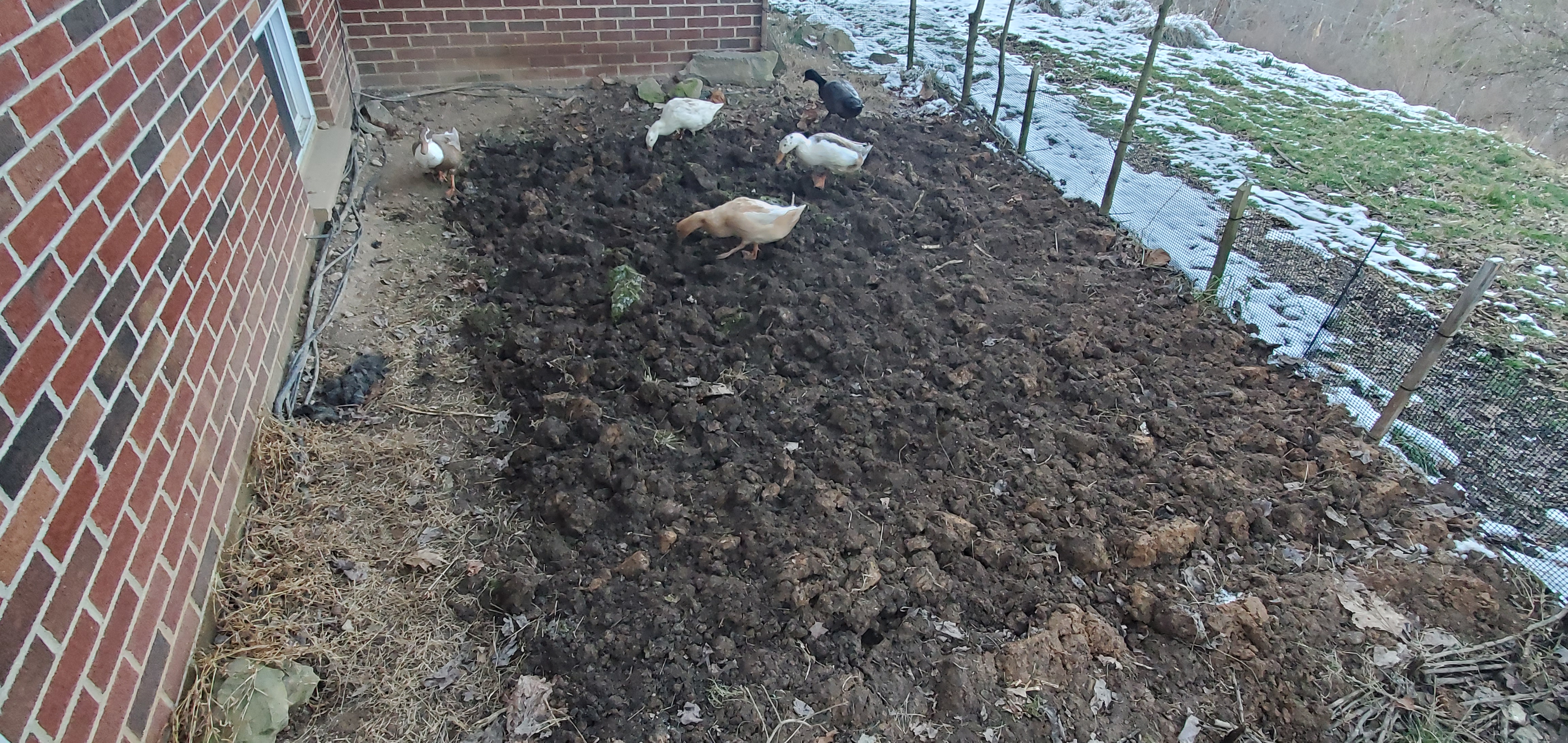 Finished cabbage-patch