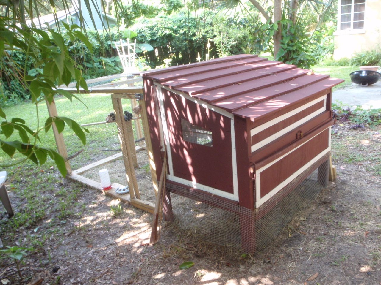 Finished Coop