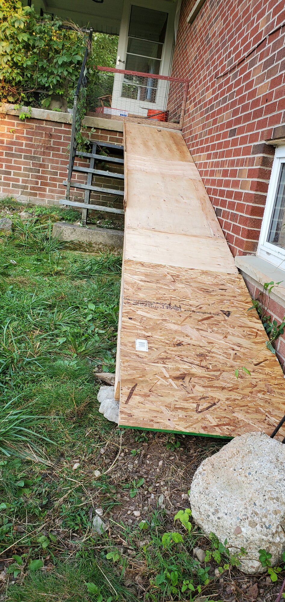 Finished Duckling Ramp