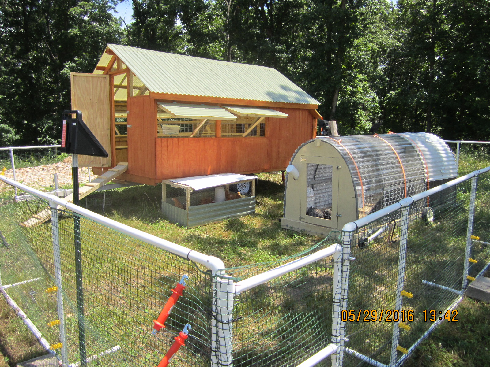 Finished new coop ready for the girls and guinea's.  The "above ground fencing" was 25 ft by 25 ft, but has been expanded to 25 ft x 50 ft out front on the lane with clover.
