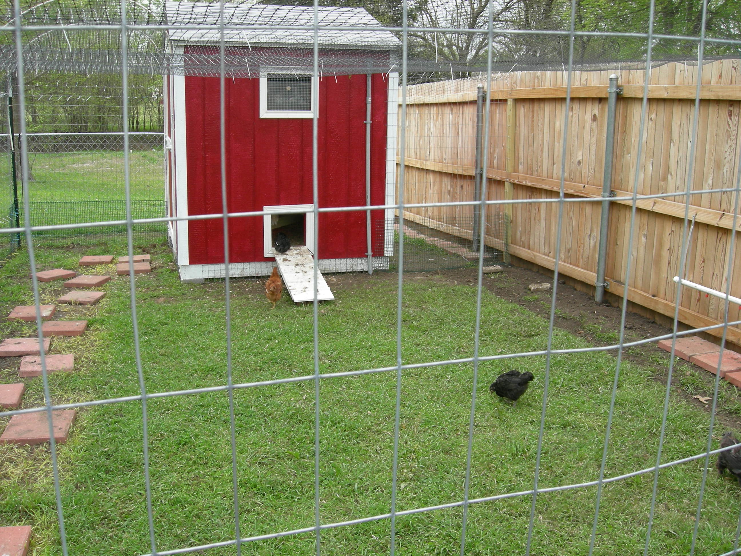Finished pop door with ramp