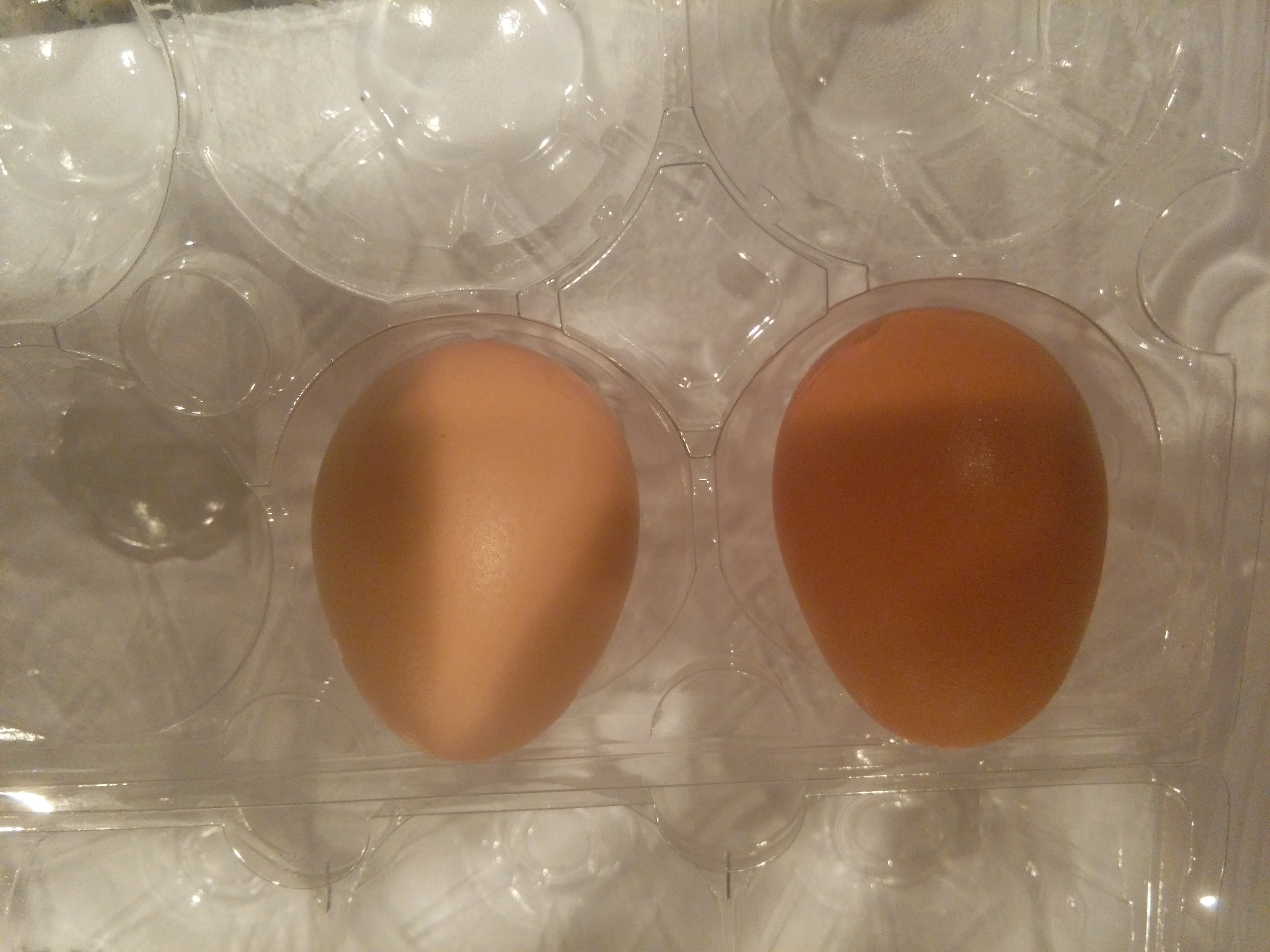 first 2 eggs