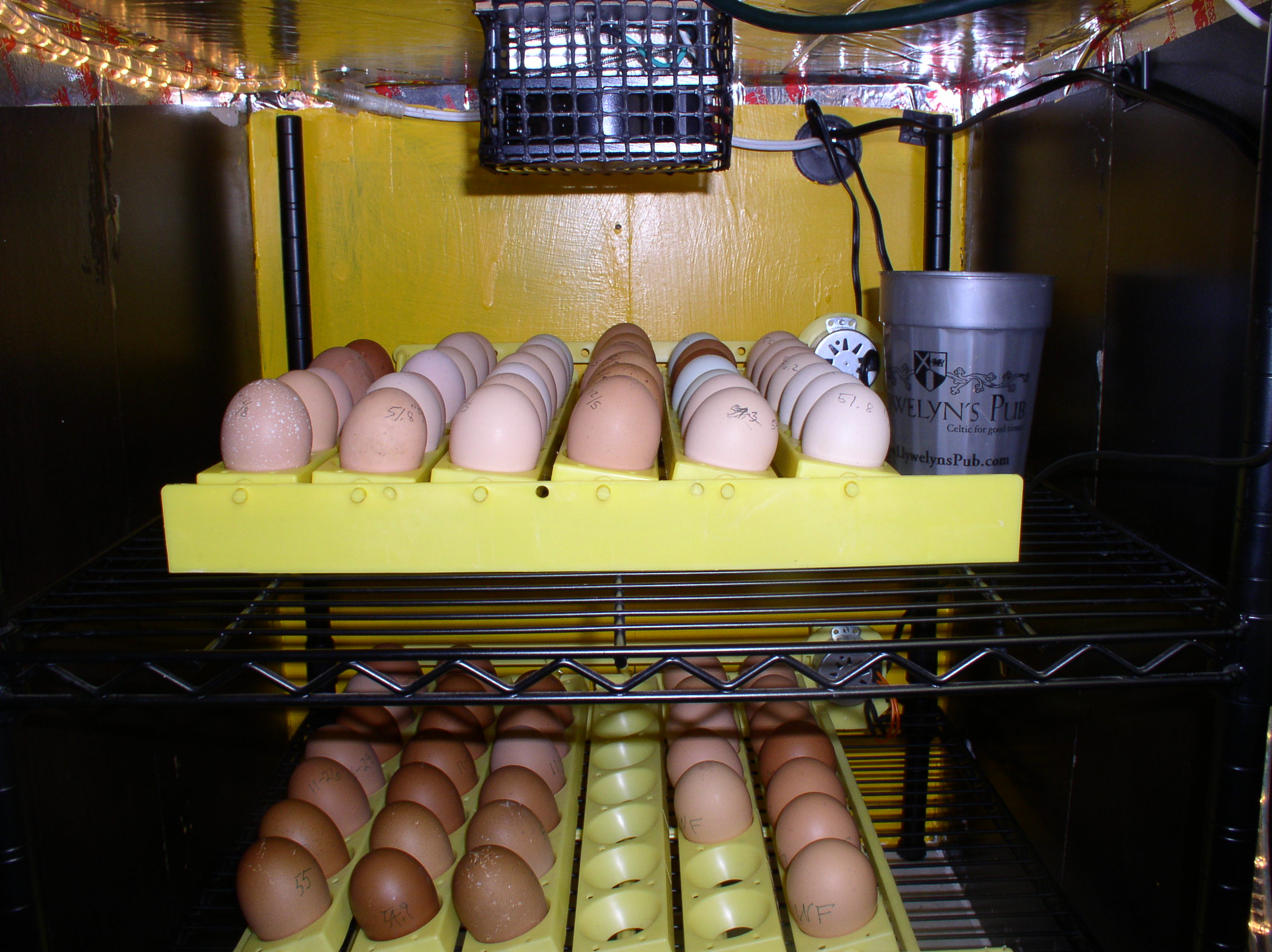 first 3 sets of eggs in new homemade incubator/hatcher