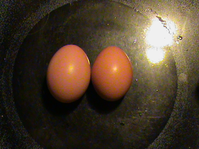 First and second egg