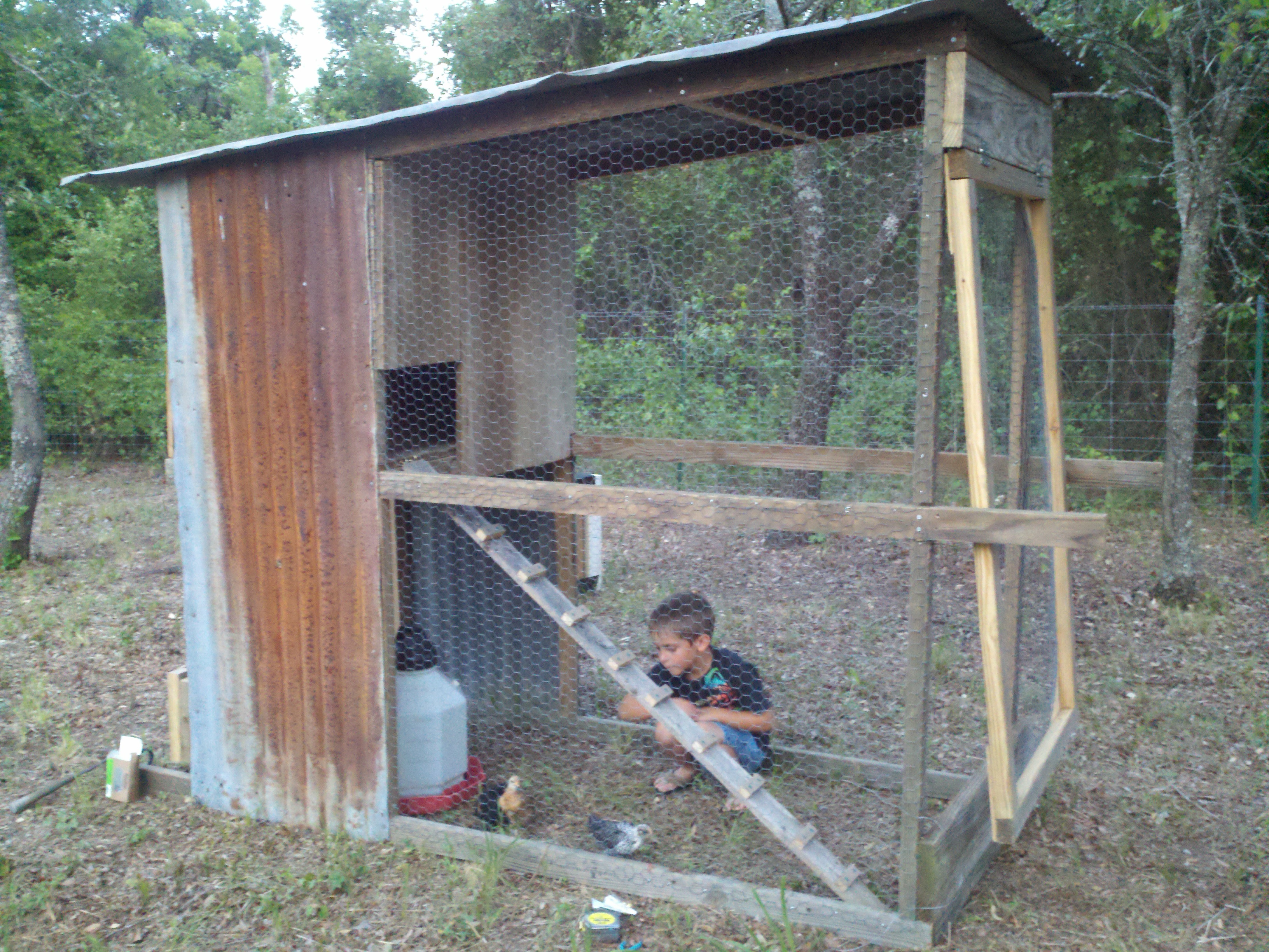 First attempt at constructing a coop.