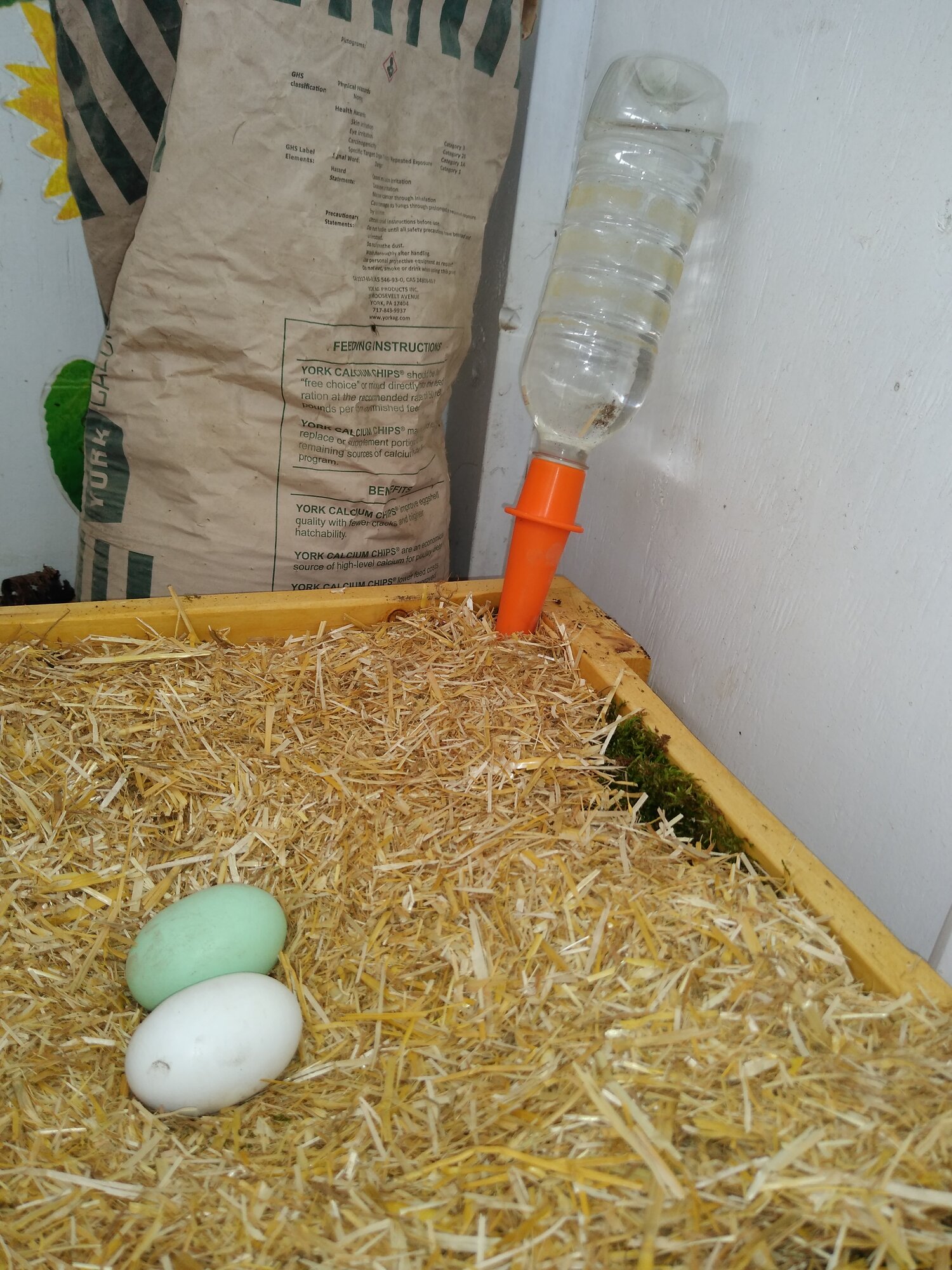 first attempt at moisture control.jpg