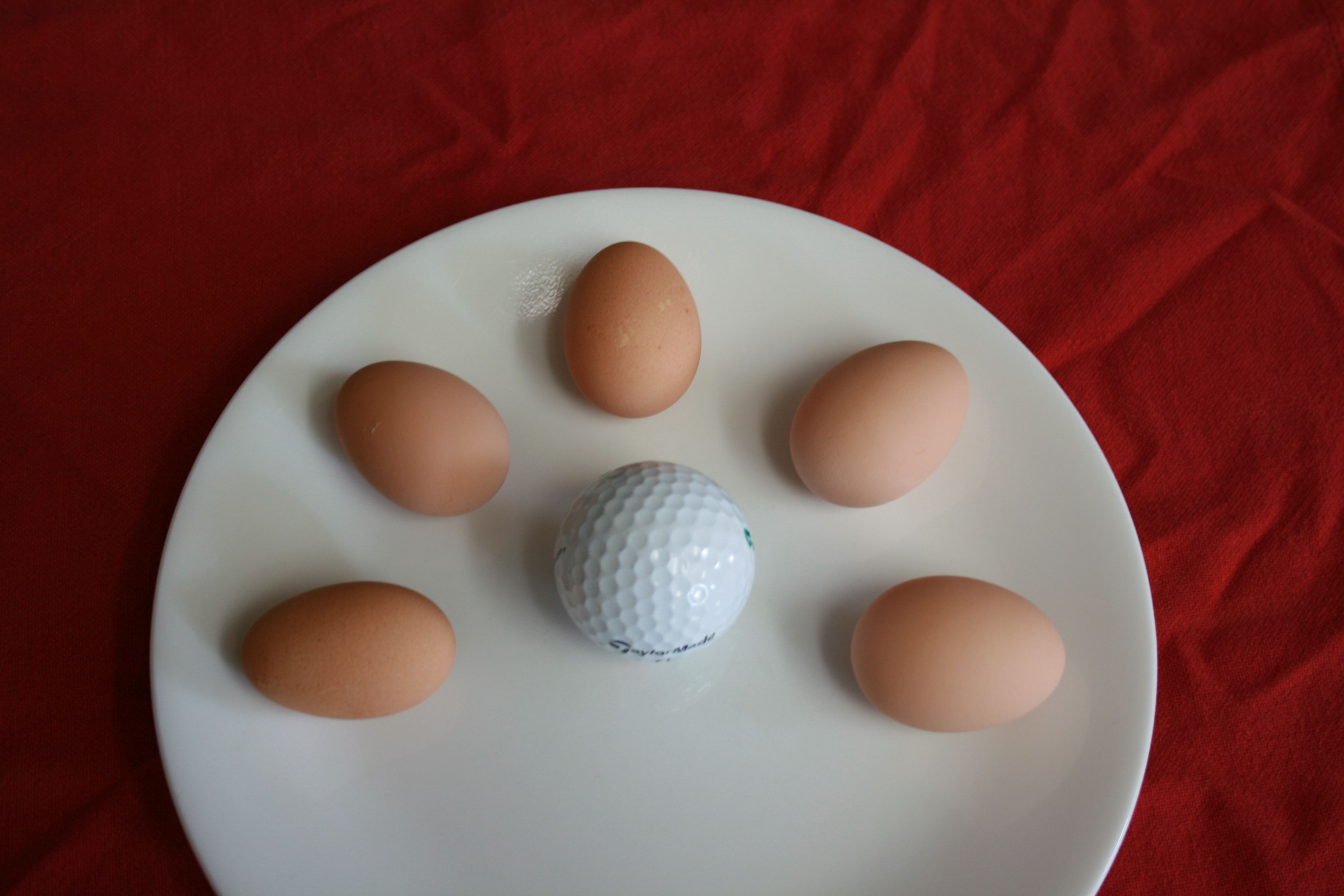 First brahma bantam eggs, 22 grams to 29 grams.