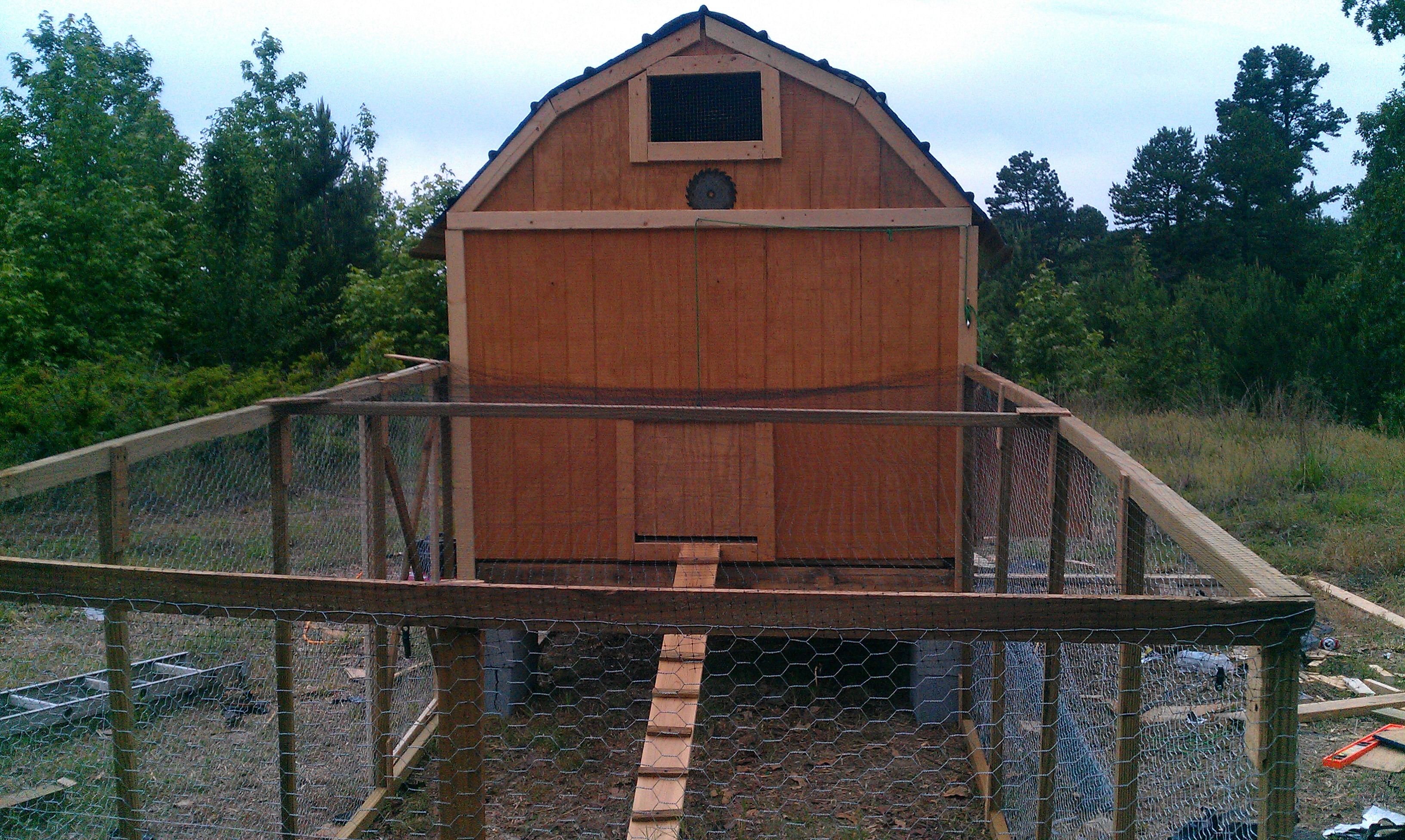 First coop I have ever built 6'x8' currently housing mixed flick of 17  chickens.