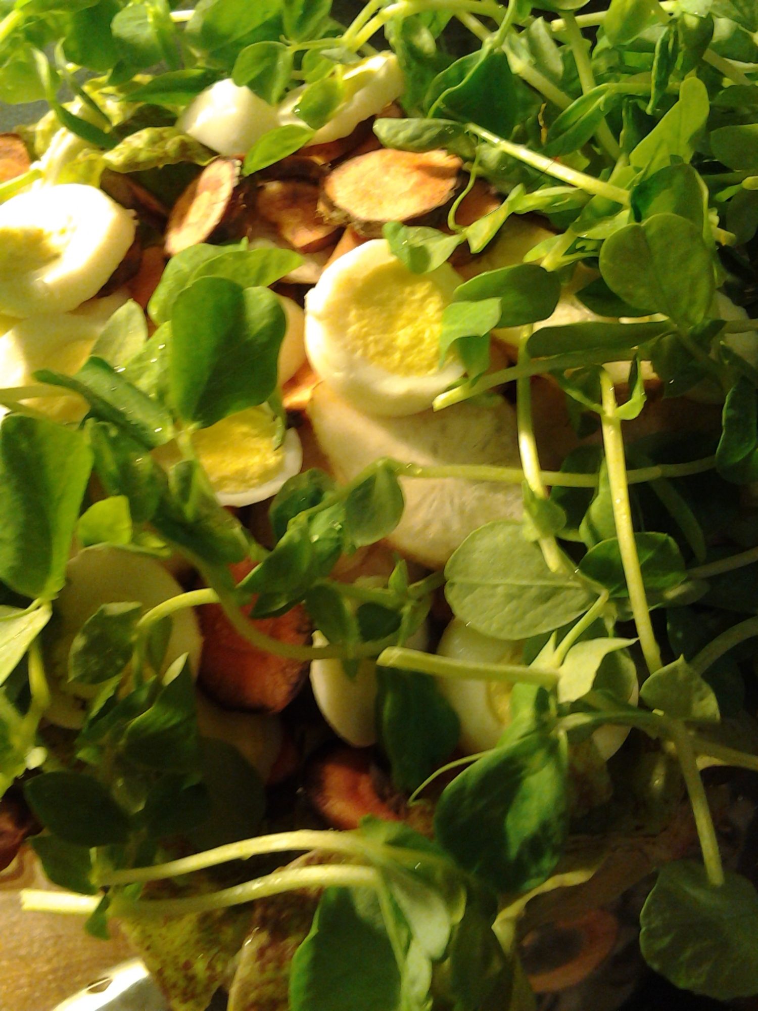First course of a salad of quail eggs, speckle butter bib lettuce, pea shoots, purple carrots, sun chokes, and strawberries.
