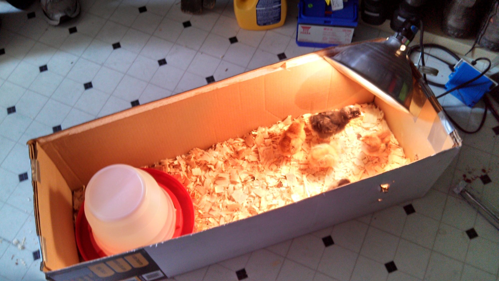 First day I only had 5...