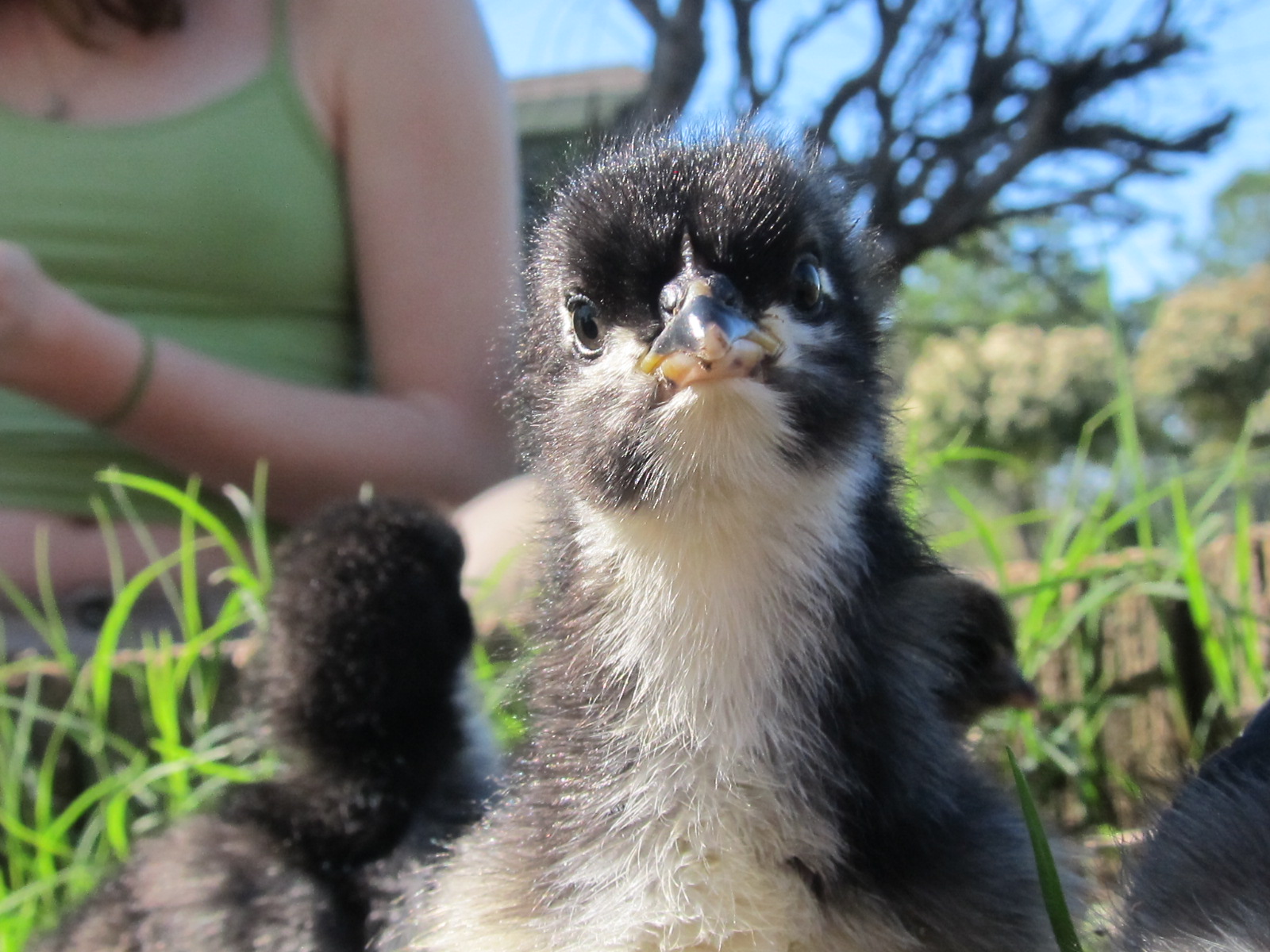 First day out in the garden