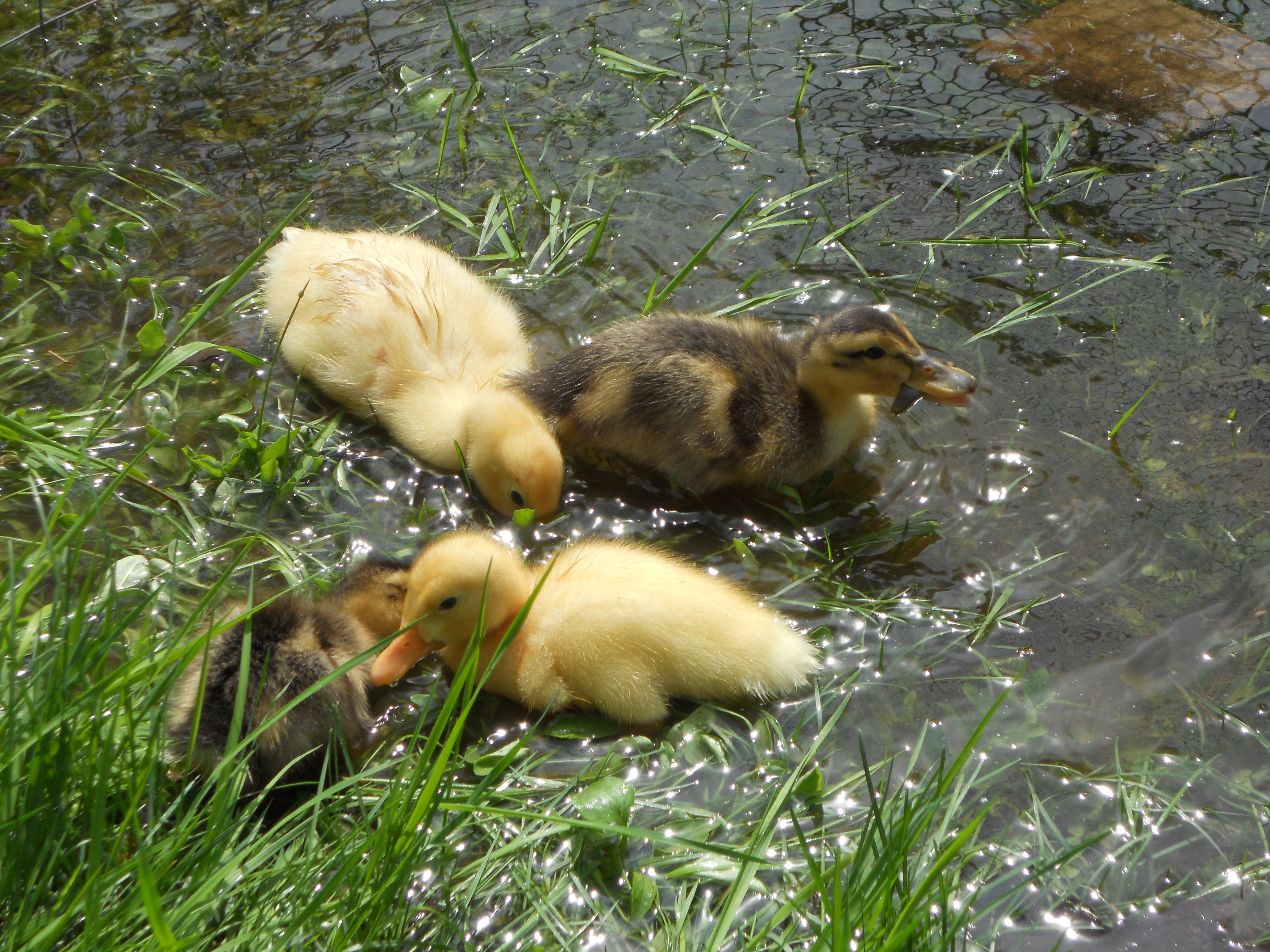 first day out in the sunshine and water