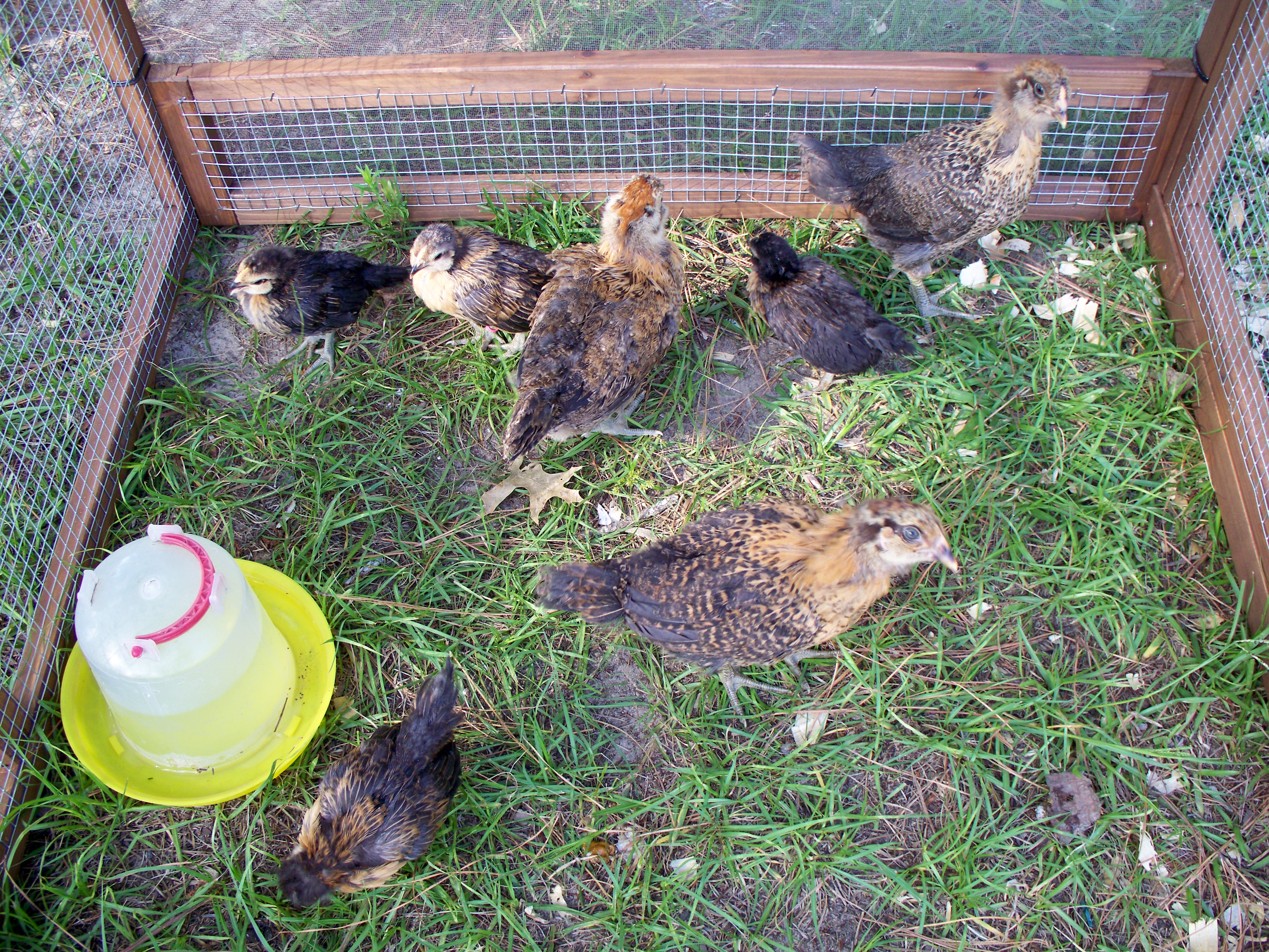 First day outside