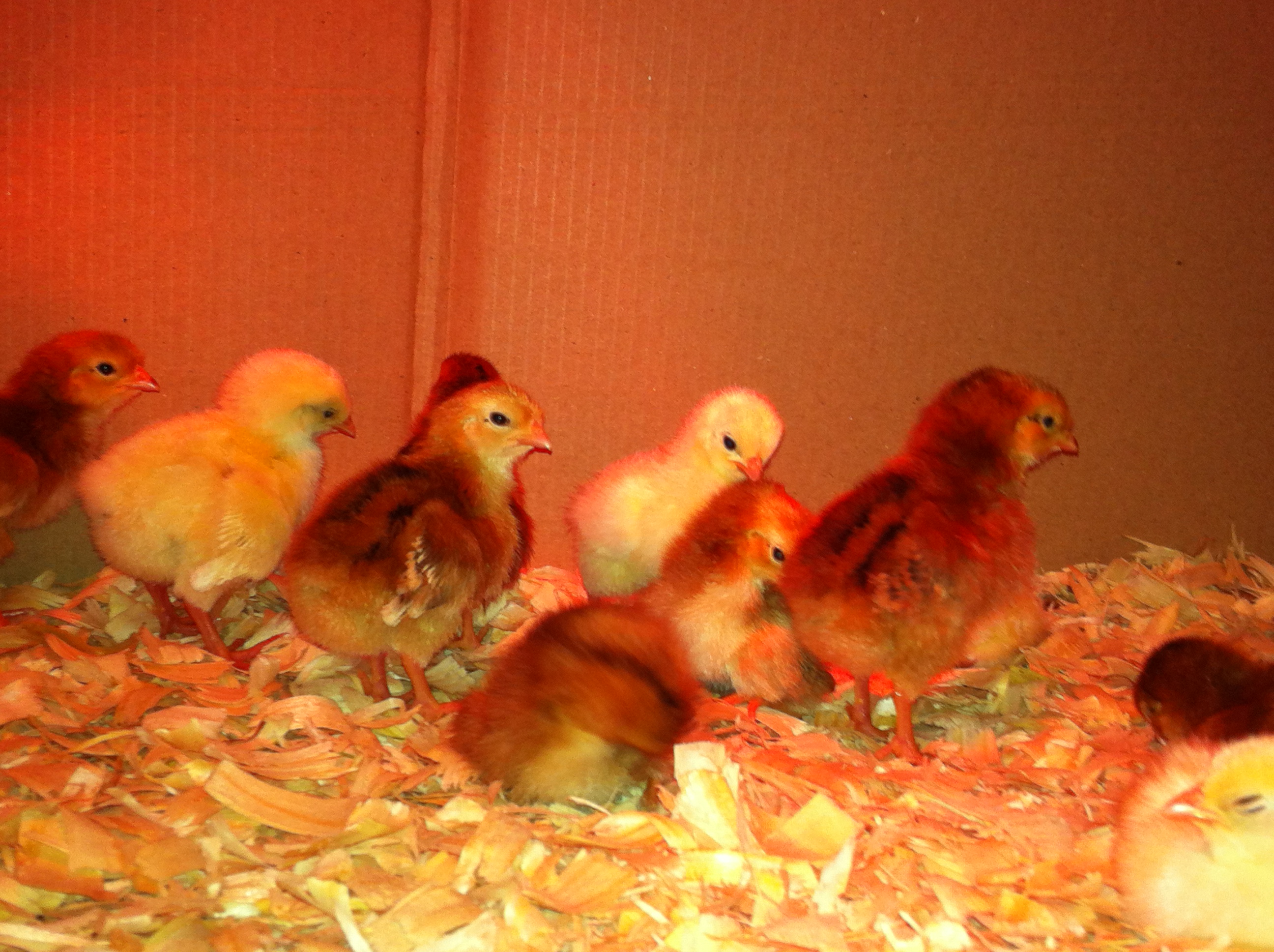 First day they got here.