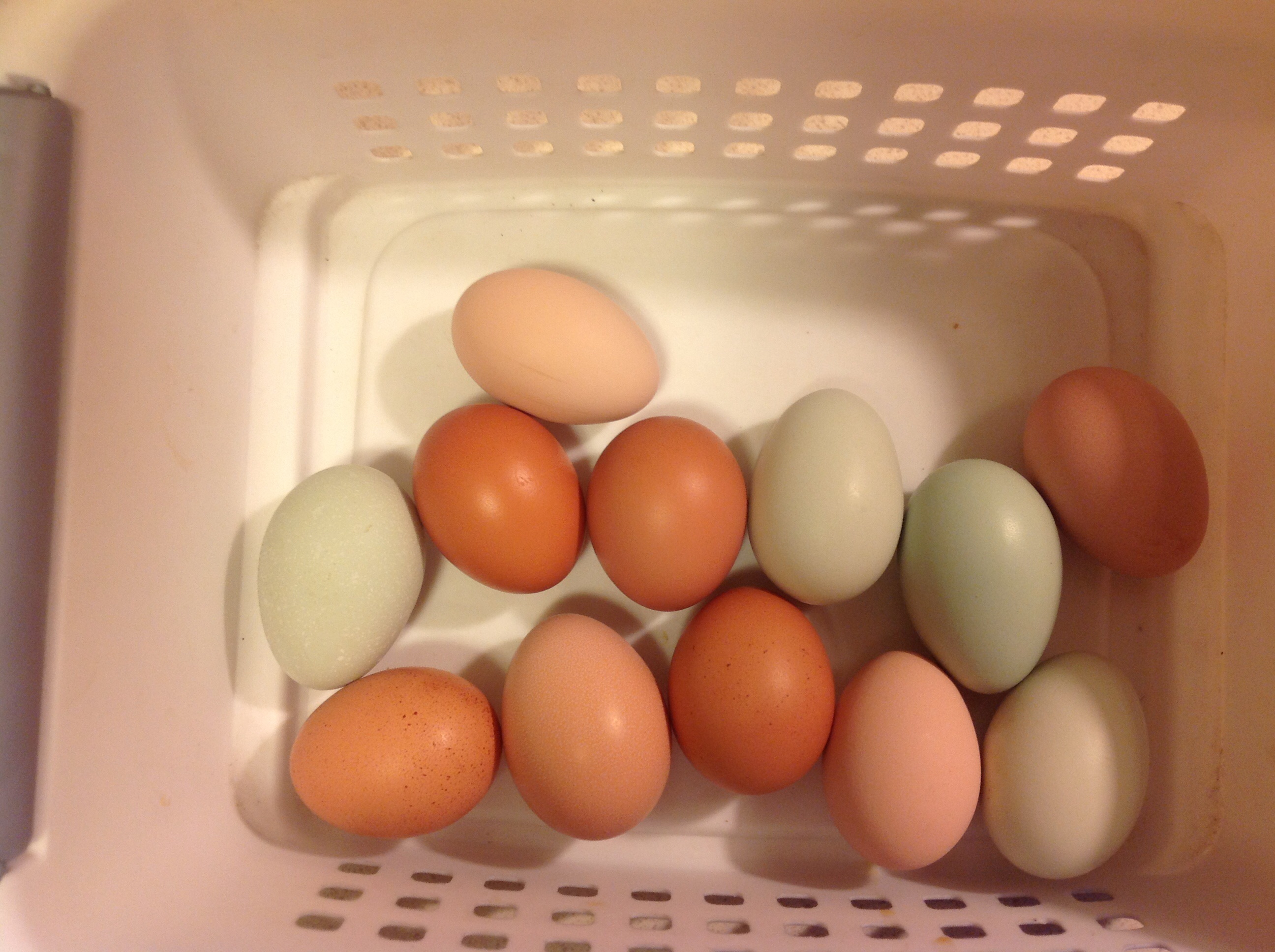 First dozen