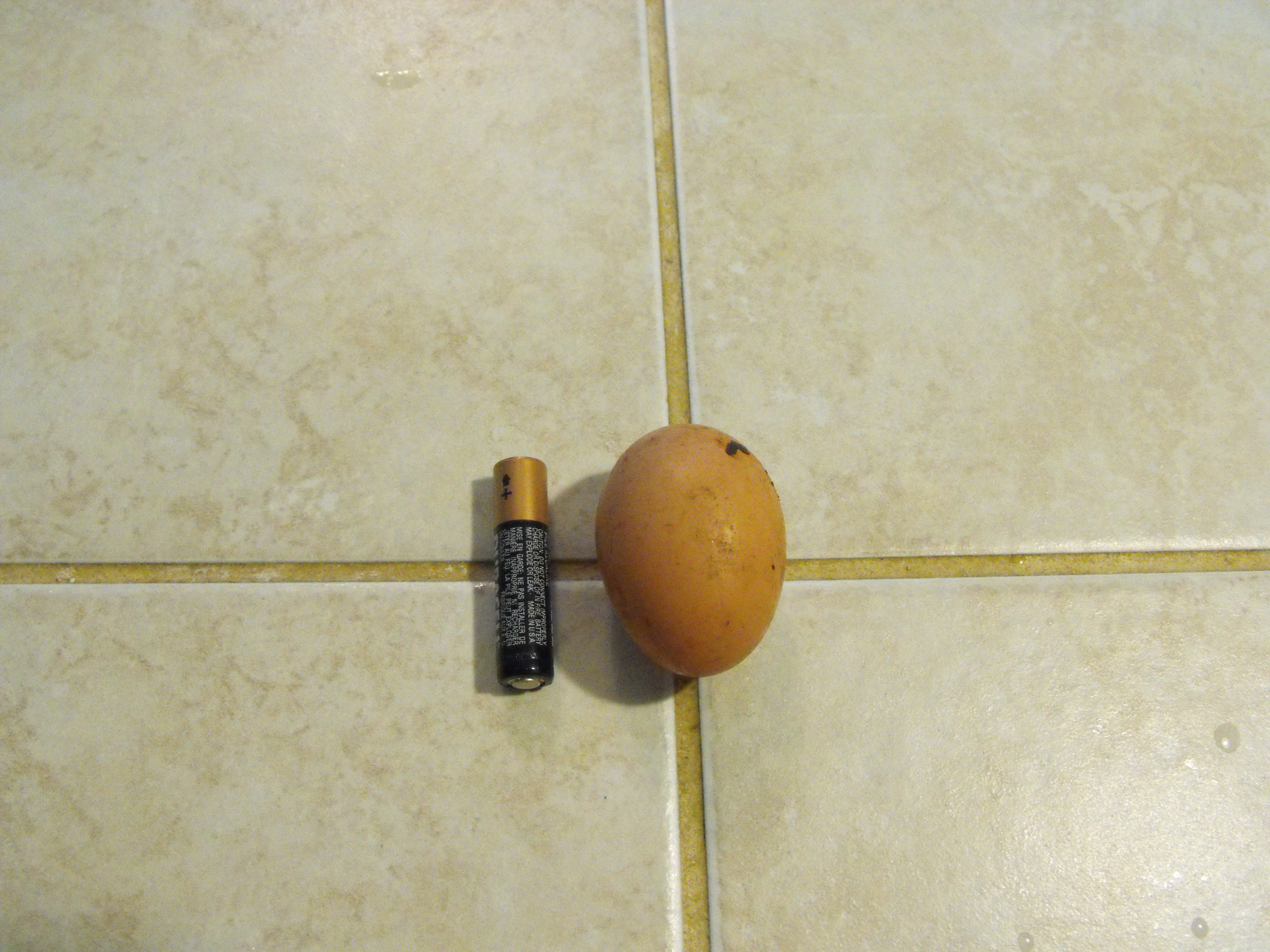 first egg AAA battery