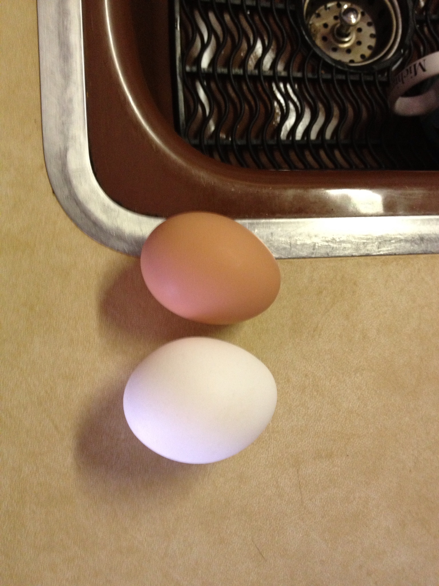 First egg compared to a store bought