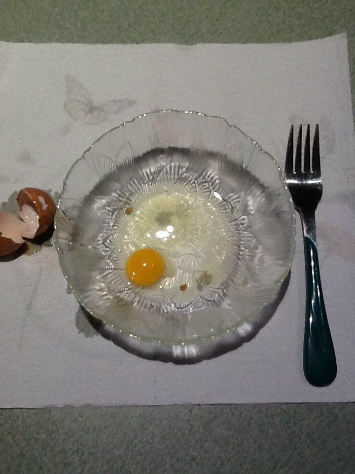 First egg from golden comet