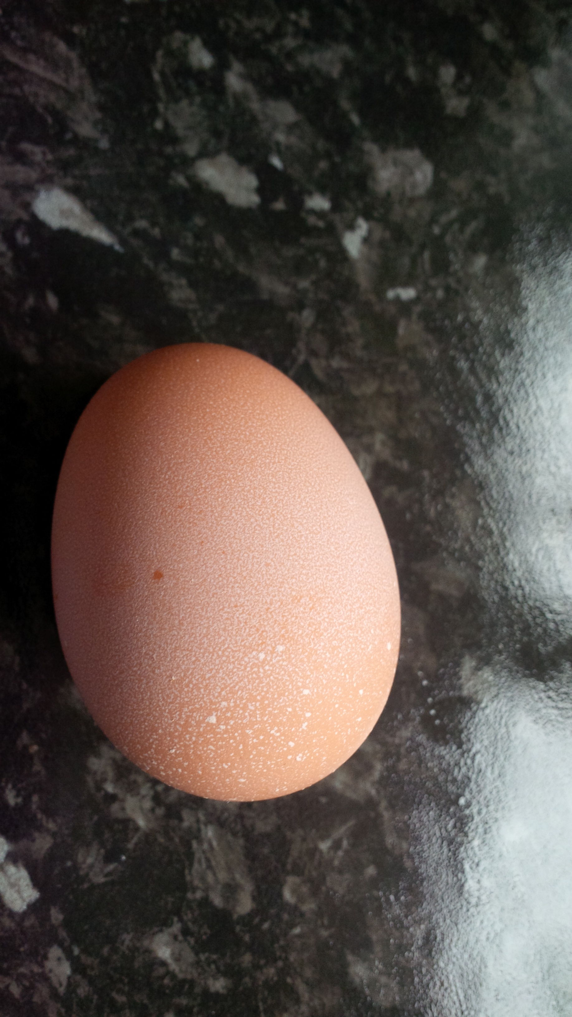 first egg from speckledy